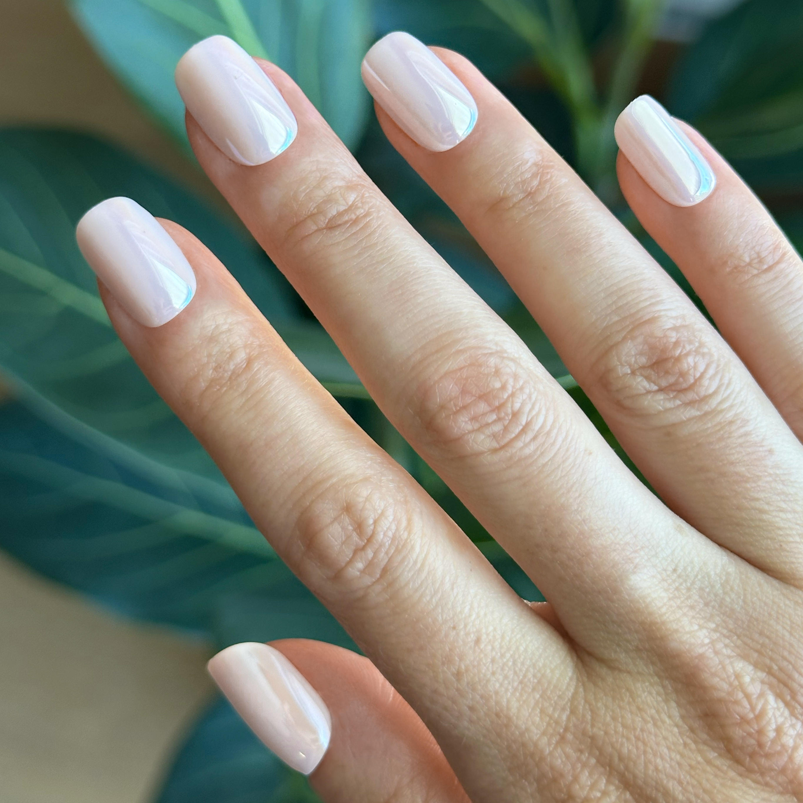 GH Glass - Press-On | Short | Squoval、mySite、solidvoid