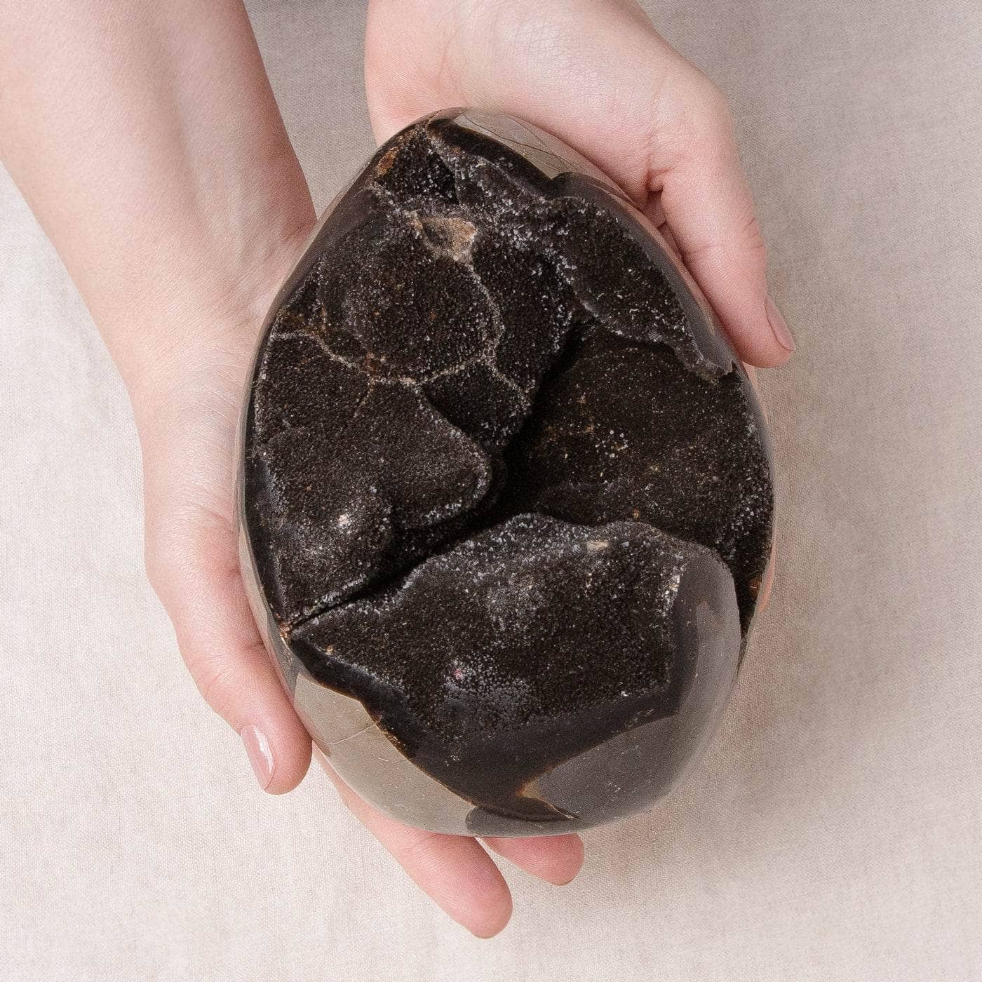 Rare Black Septarian Freeform Crystal、mySite、hinf8tx79