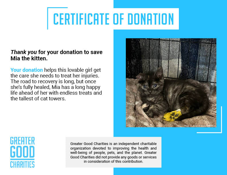 Support Mia While Recovering From Her Injuries、mySite、camillekostekn