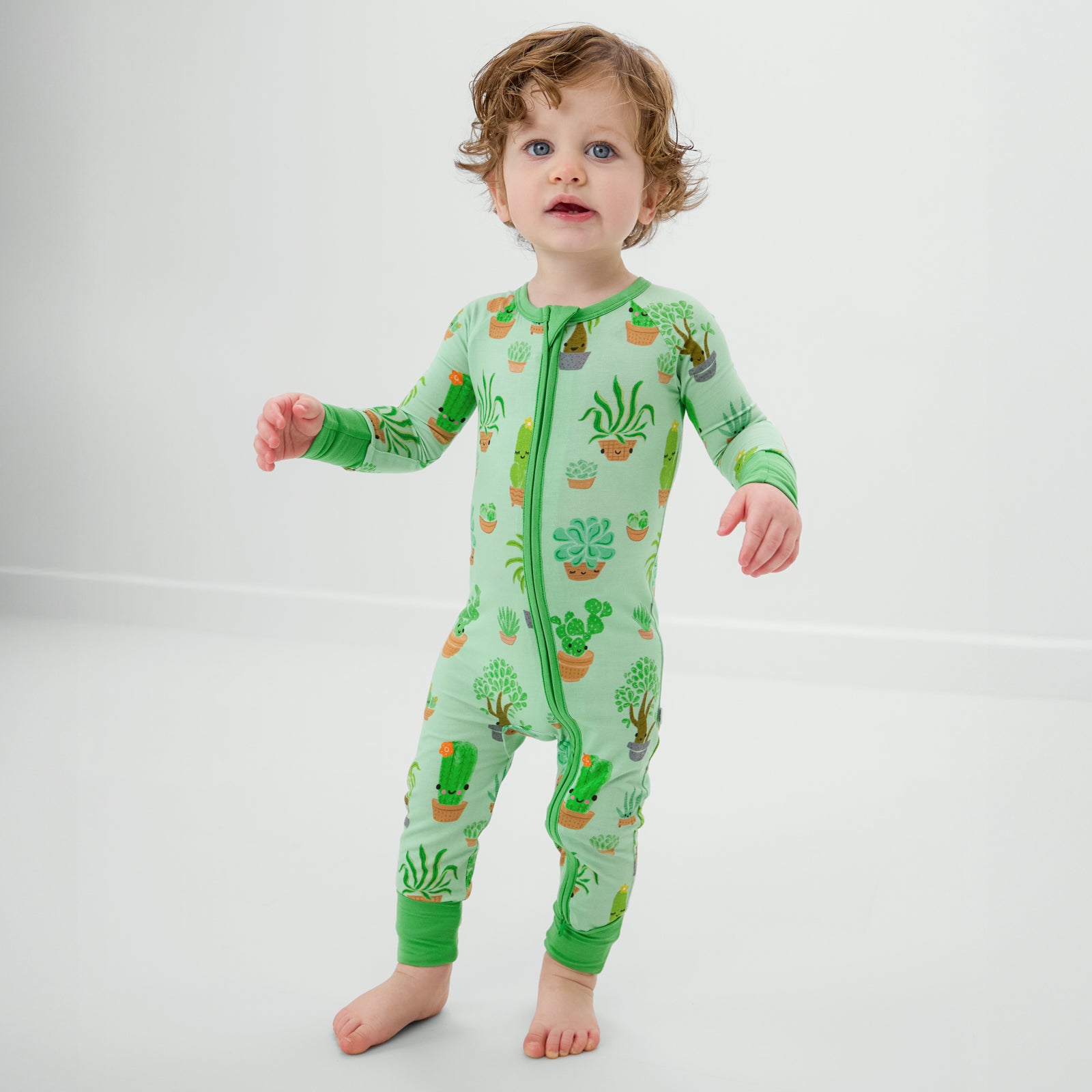 Succulent Love Zippy、mySite、g9winljtr