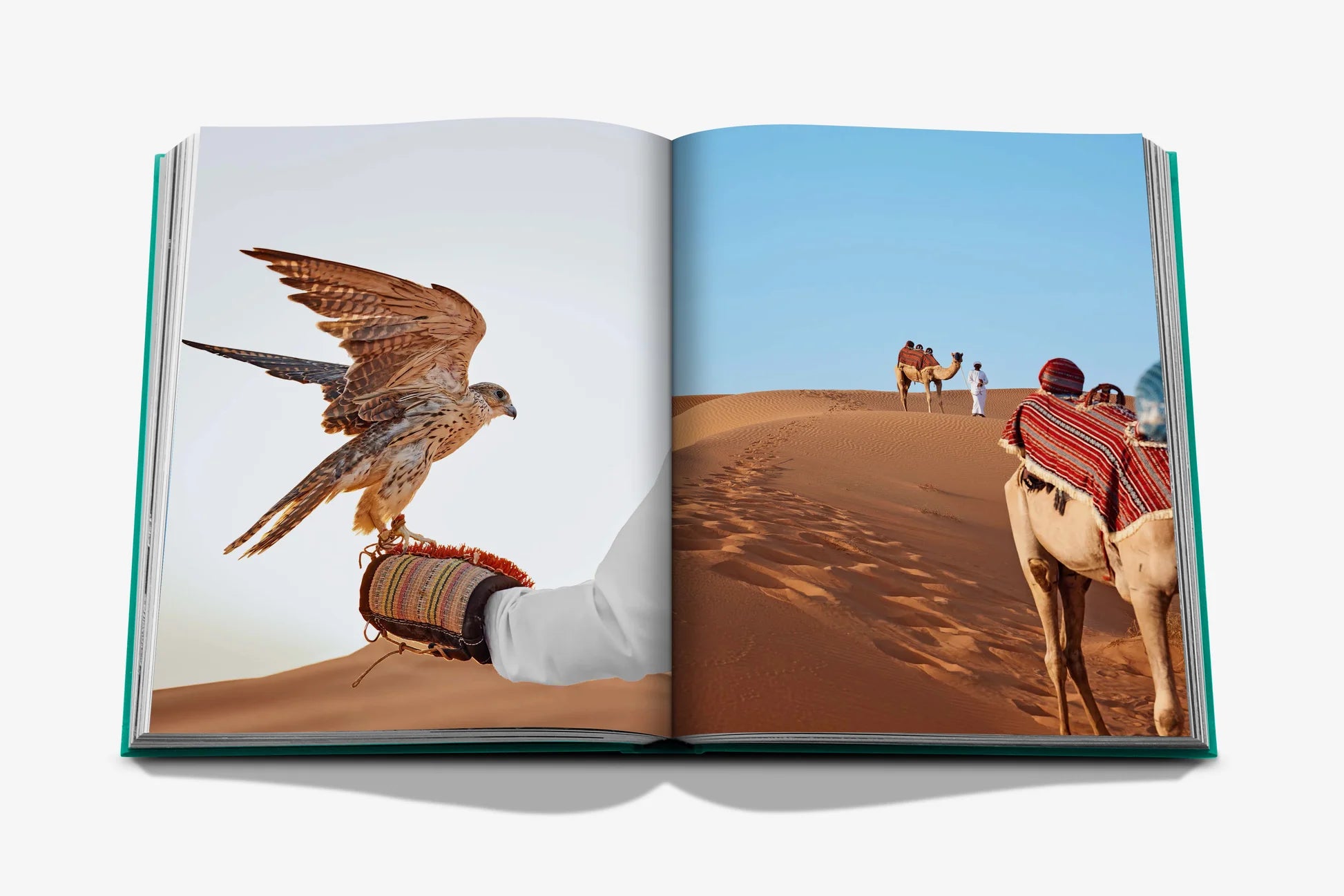  Abu Dhabi Bright Book、mySite、sugarbowlscore