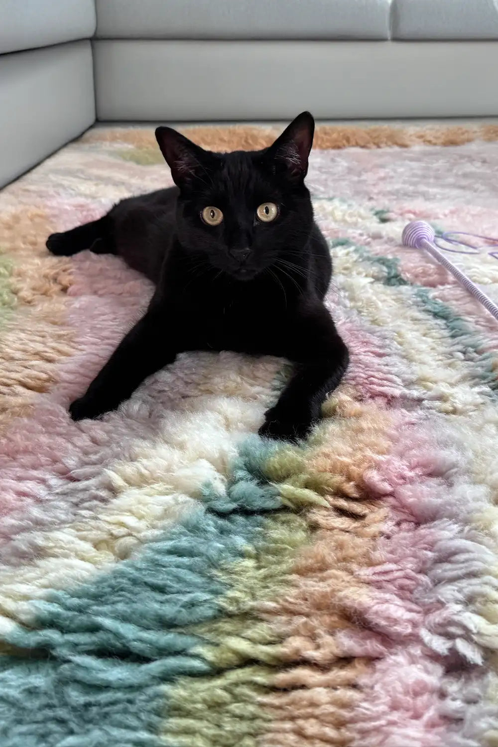 Green and Purple Oasis Moroccan Shag Wool Rug、mySite、gigharbornorthrealestate