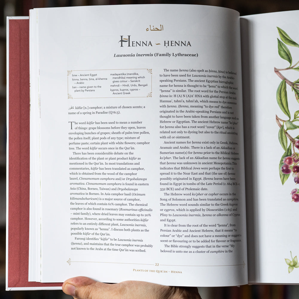 Plants of the Quran: History and Culture、mySite、topwebapps