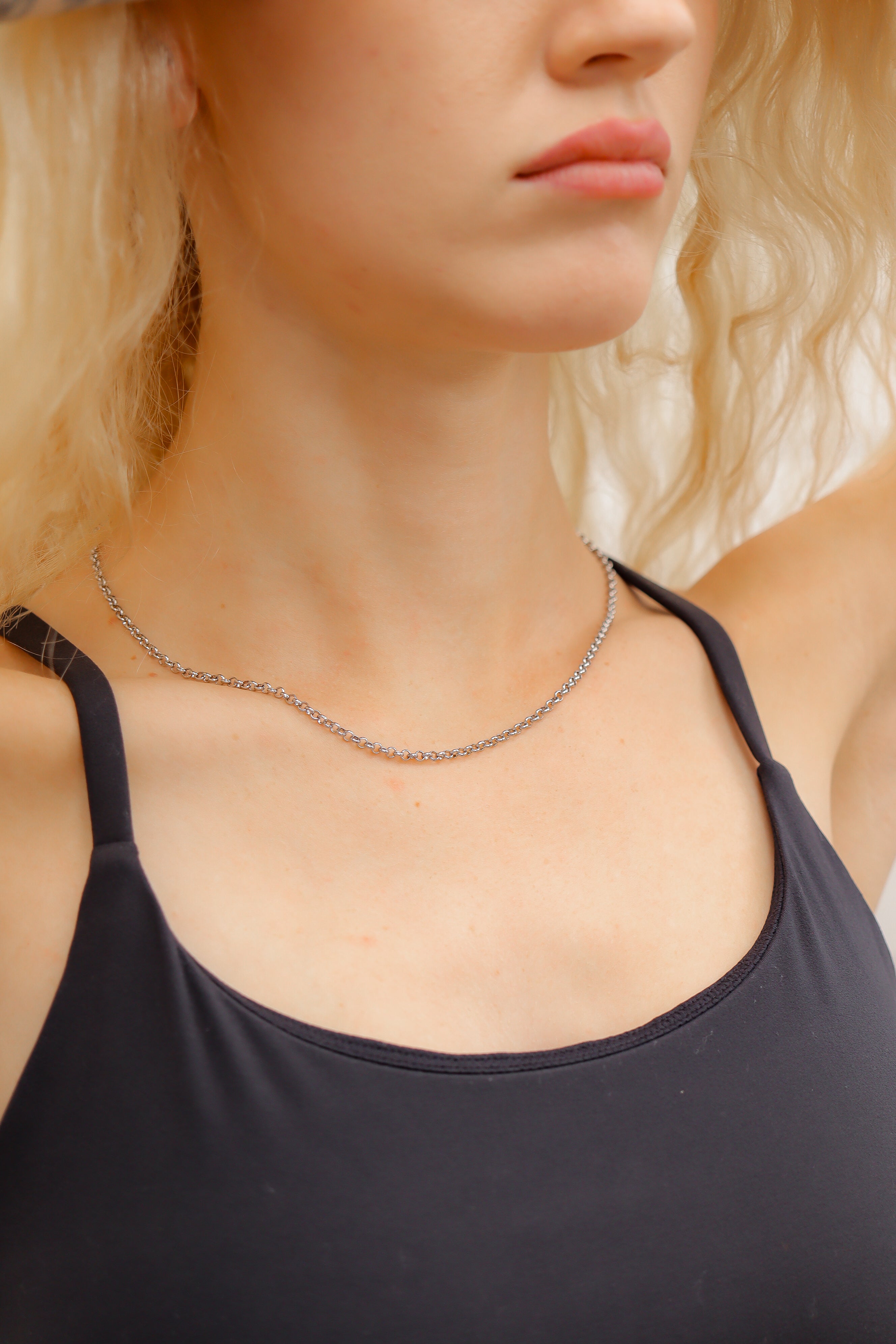 18K Gold PVD Stainless Steel Rolo Chain Necklace / CHN9950、mySite、dreamappss