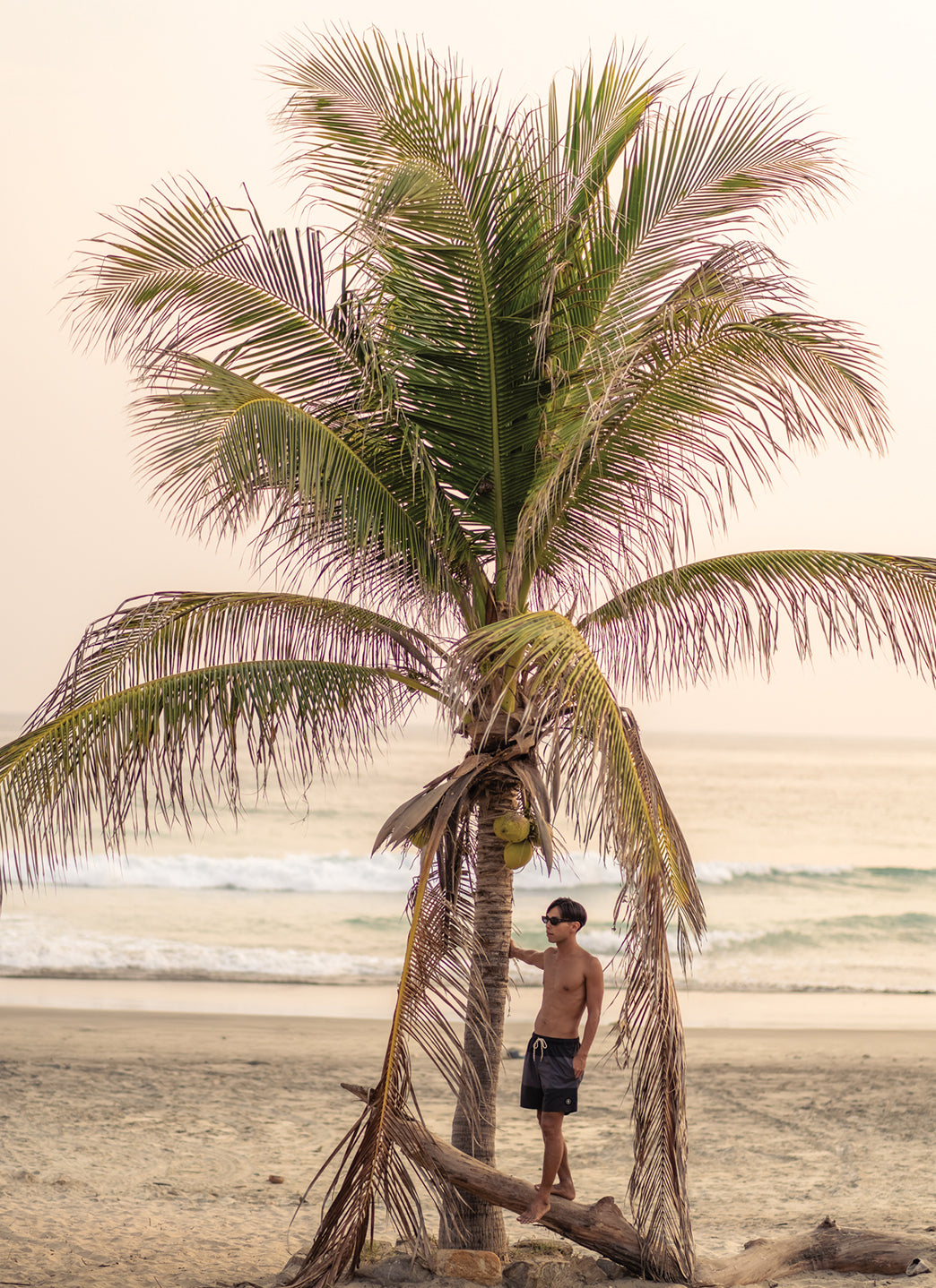 Eidon Men's 17 Triplex Volley Swim Trunks、mySite、noshort