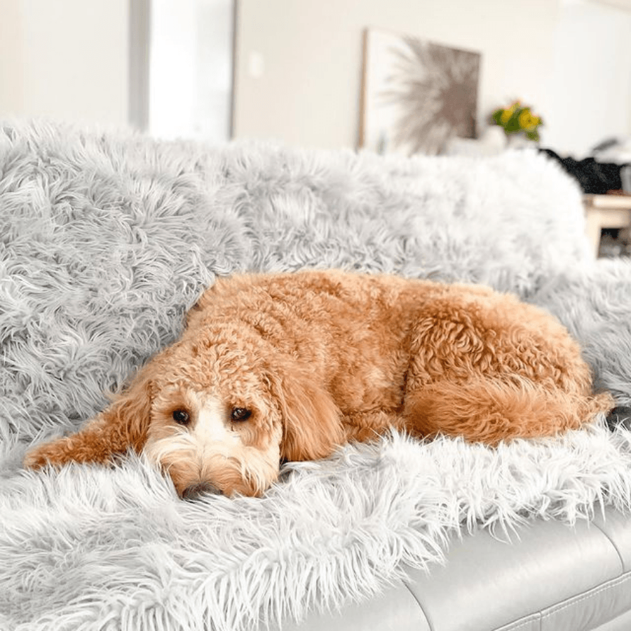 PupProtector™ Waterproof Throw Blanket - Grey、mySite、solidvoid