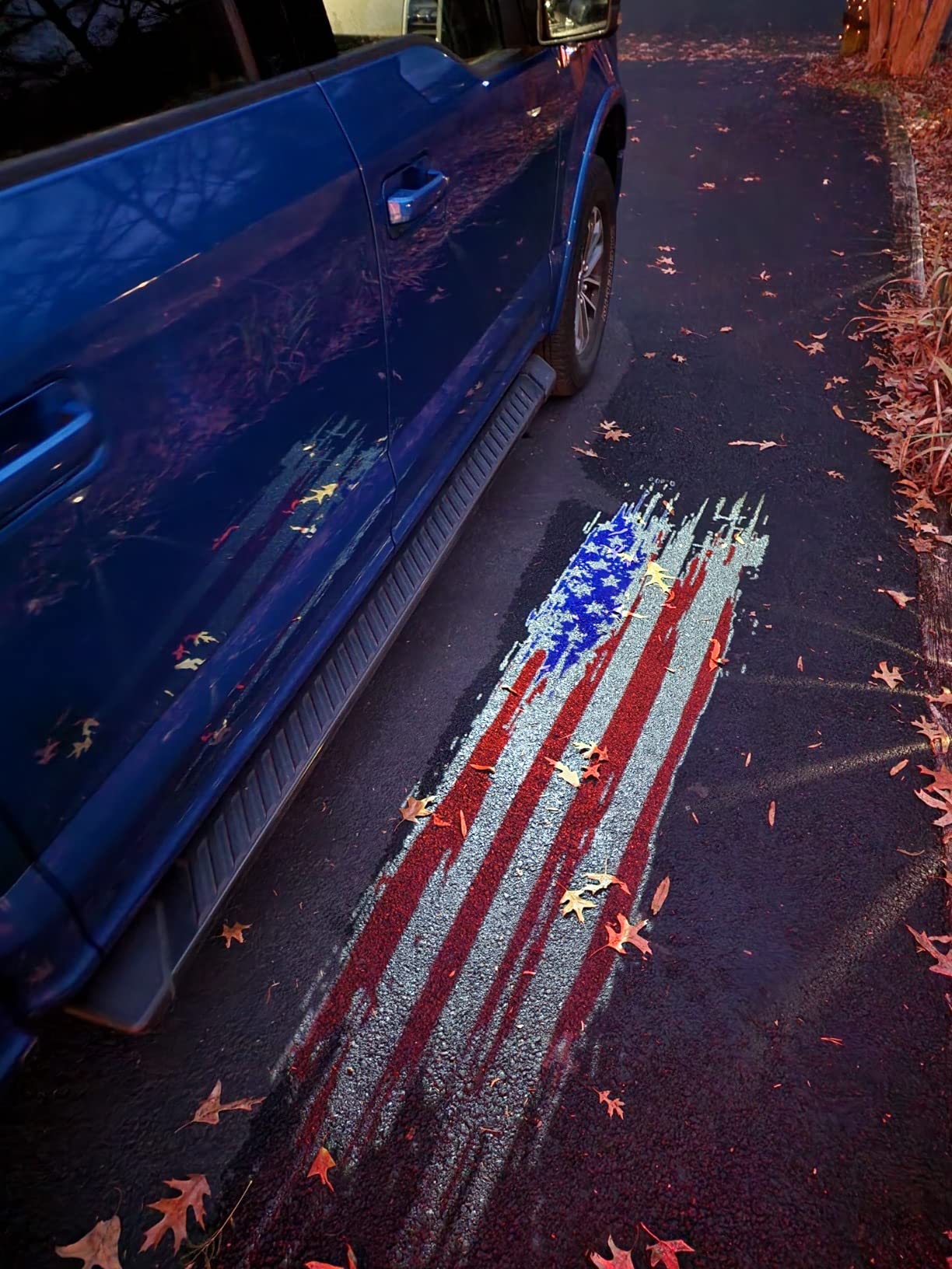 2x Ford F150 Mirror light (plug&play) (2015-2020) - 4 Logos、mySite、nflplayoffbracketp