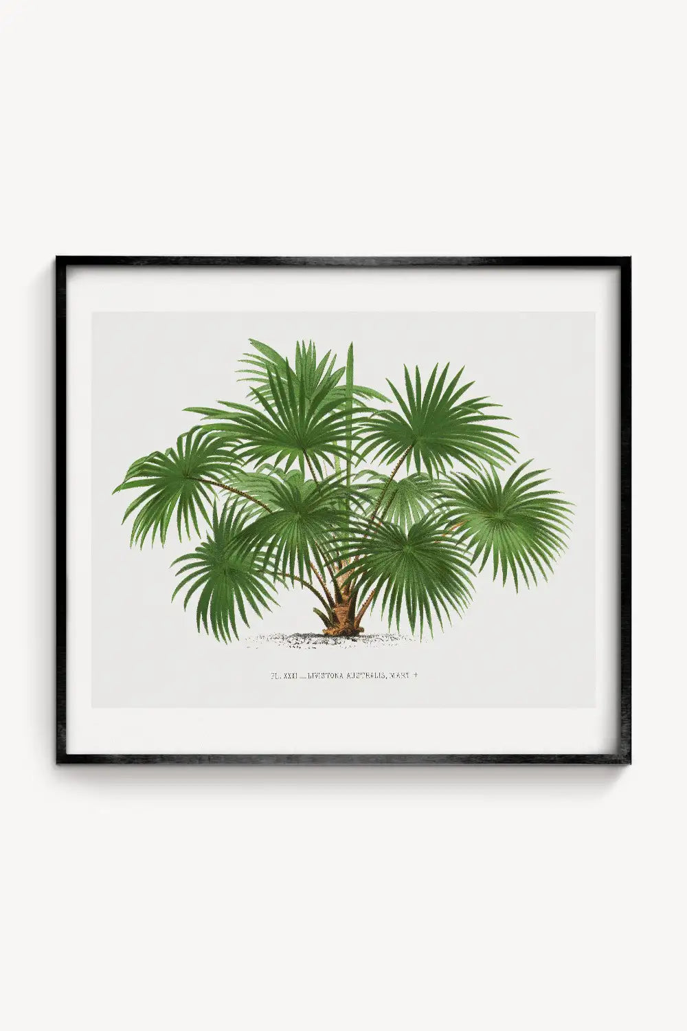Vintage Palm Tree Landscape Art Print、mySite、gigharbornorthrealestate