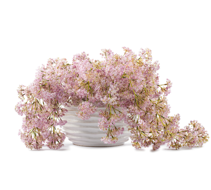  DH Weeping Laurel Bubble Vase、mySite、elrpsem3k