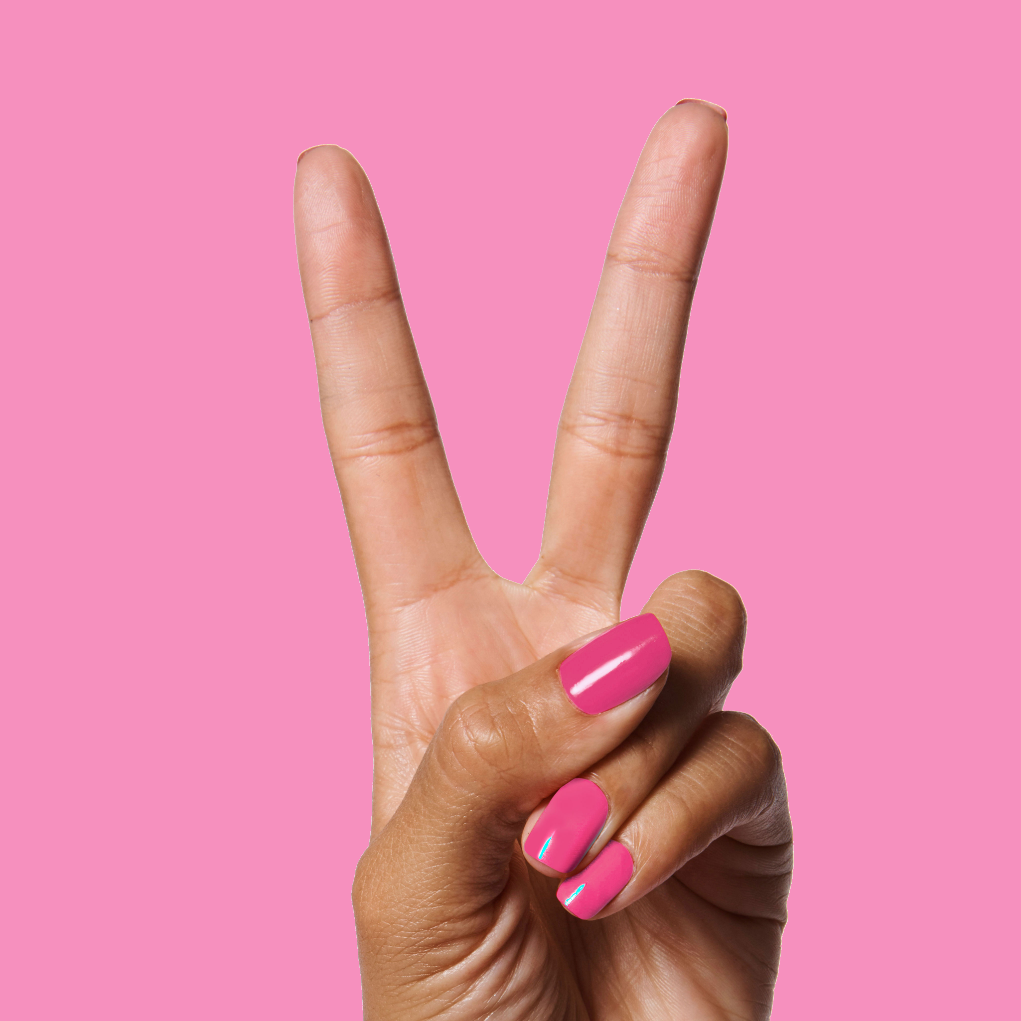 WILD ORCHID、mySite、solidvoid