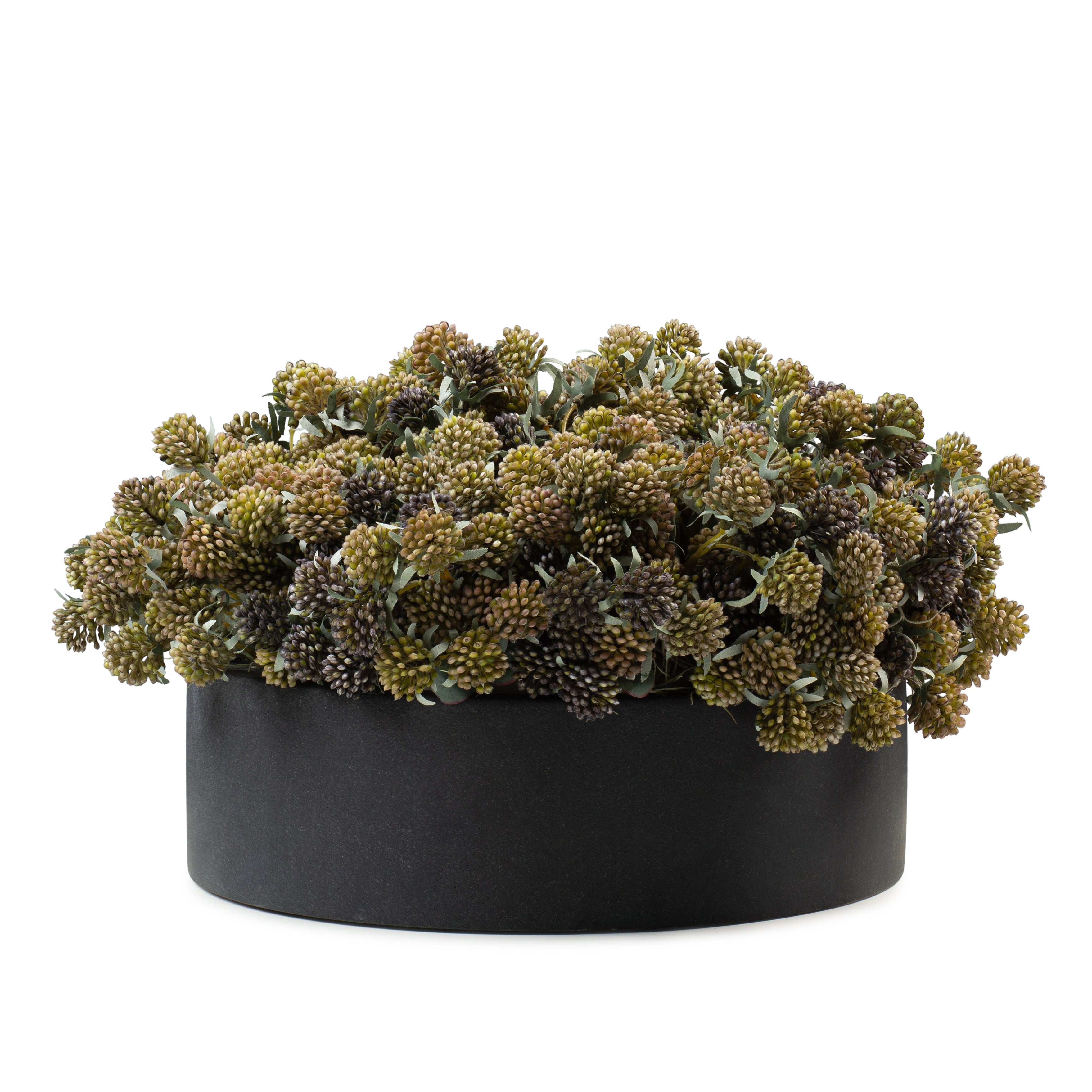  DH Berry Floral In Black Round Pot、mySite、elrpsem3k