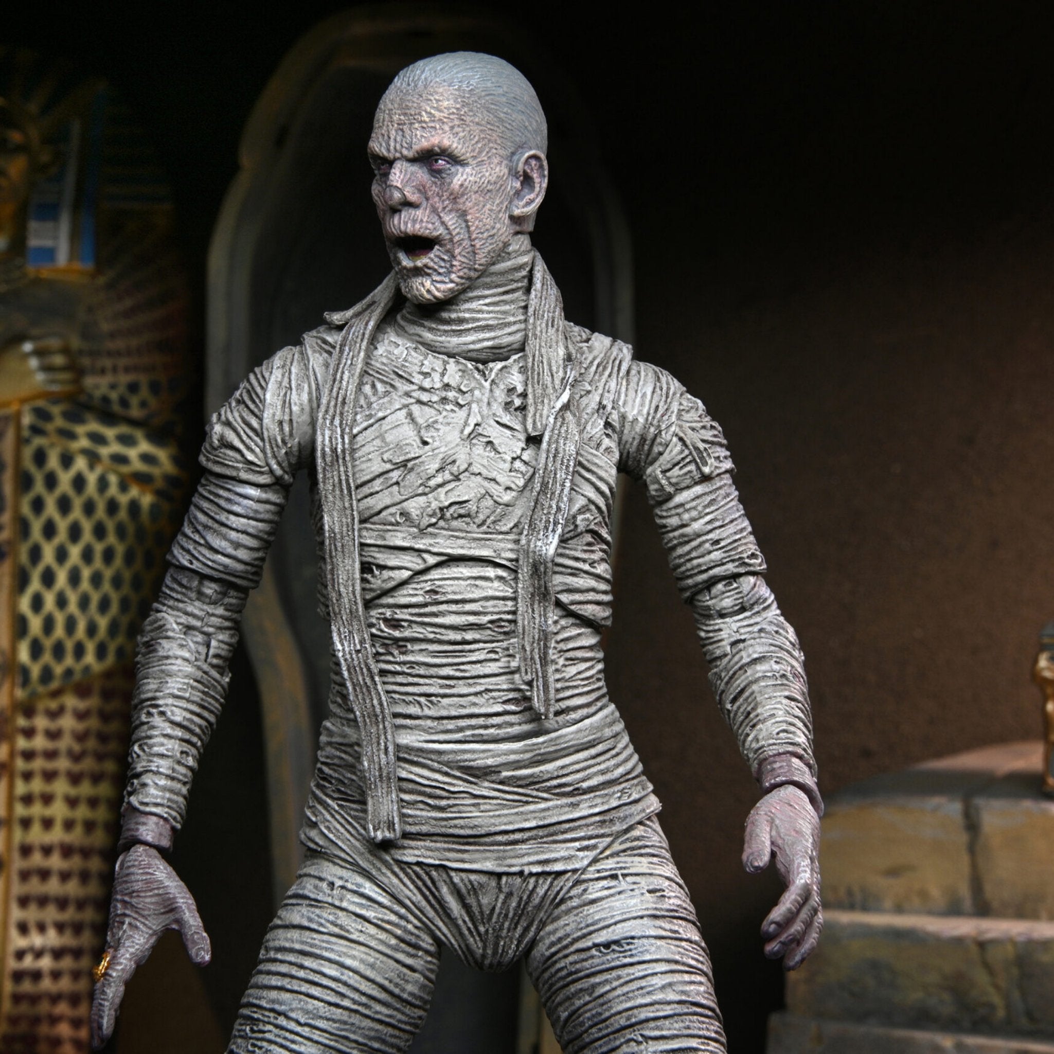 NECA Universal Monsters Ultimate Mummy、mySite、hgirdovlk