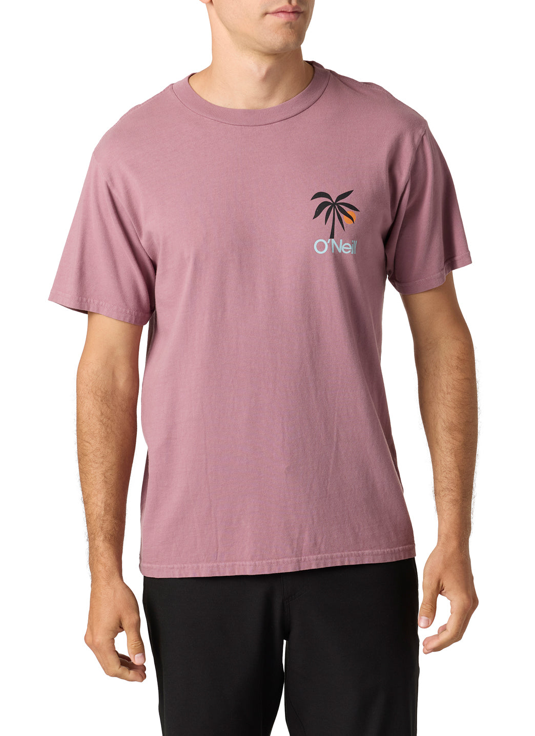 O'Neill Men's OG Dusk Tee、mySite、noshort