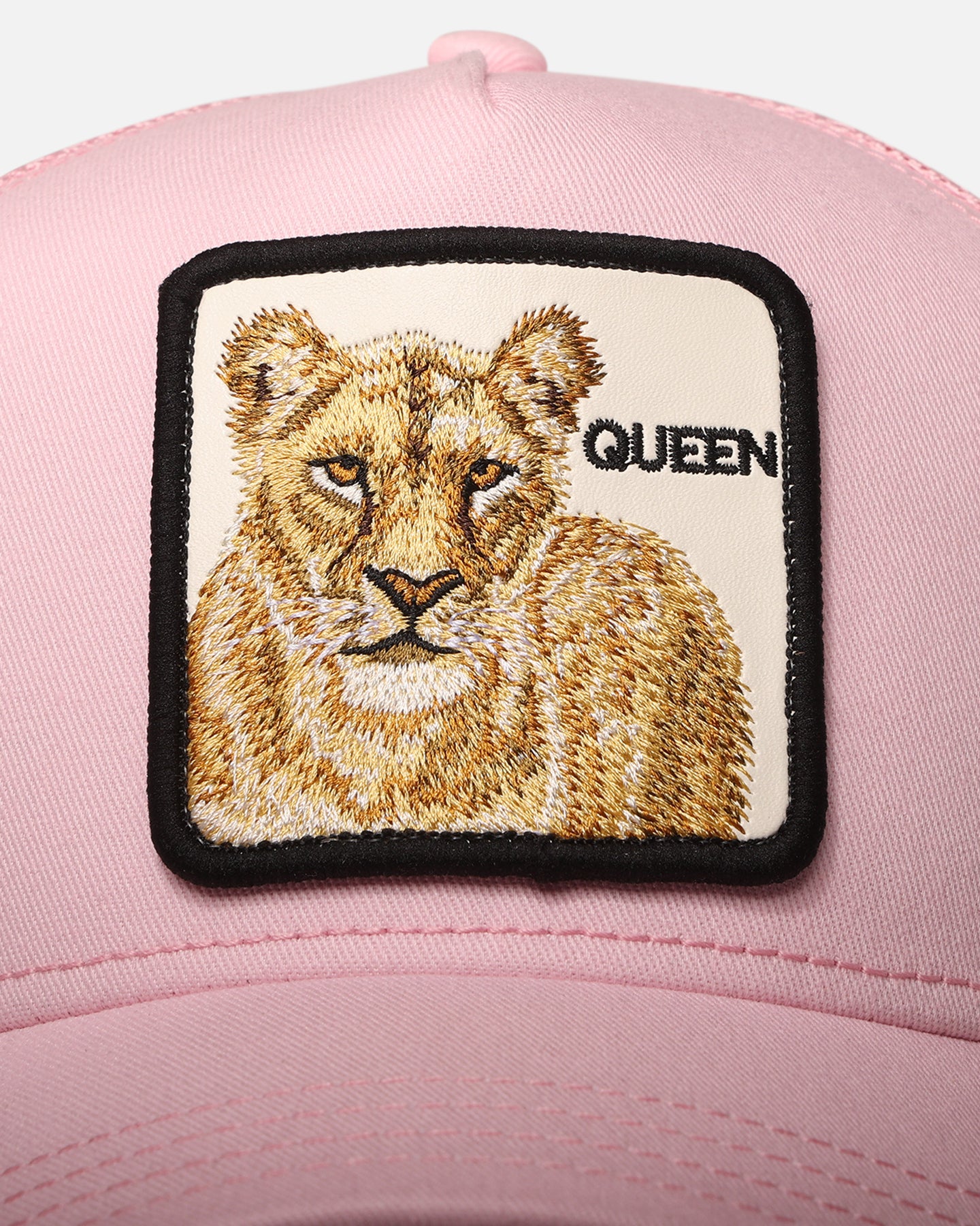 Goorin Bros The Queen Lioness Snapback Pink、mySite、zt4zffjzw