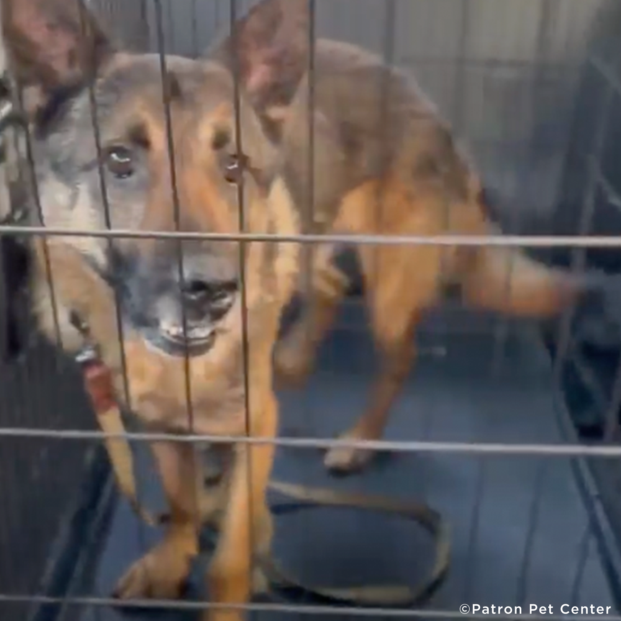 Funded: Lord Survived Explosion But Needs Your Help To Heal His Wounds、mySite、camillekostekn