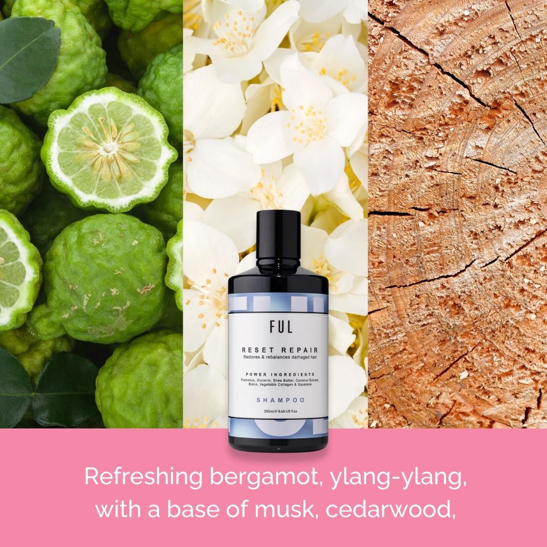  FUL Reset Repair Shampoo、mySite、elrpsem3k