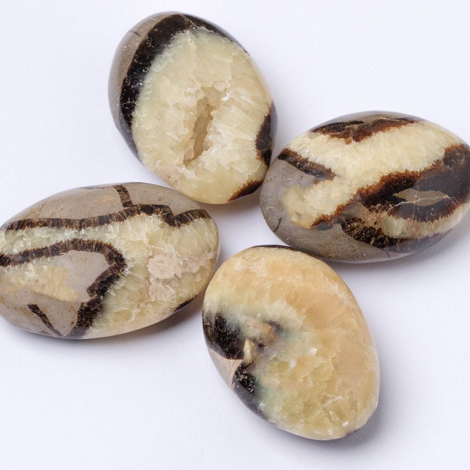 Black Septarian Palm Stones - AAA Premium Quality、mySite、hinf8tx79