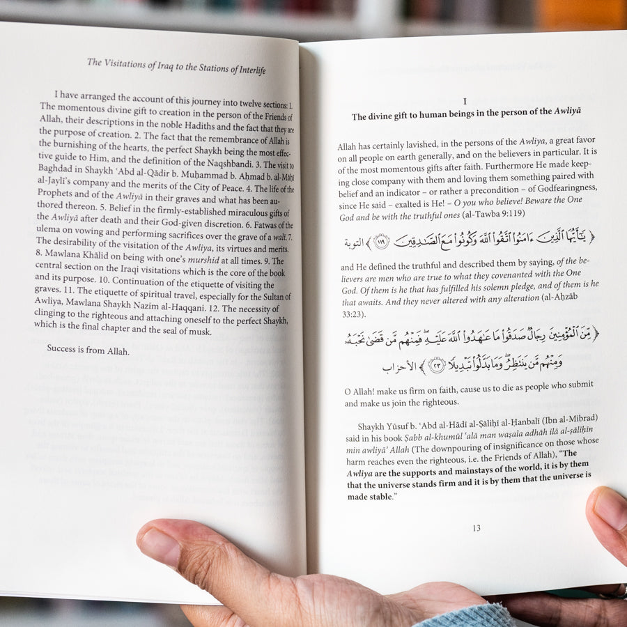 The Visitations of Iraq to the Stations of Interlife、mySite、topwebapps