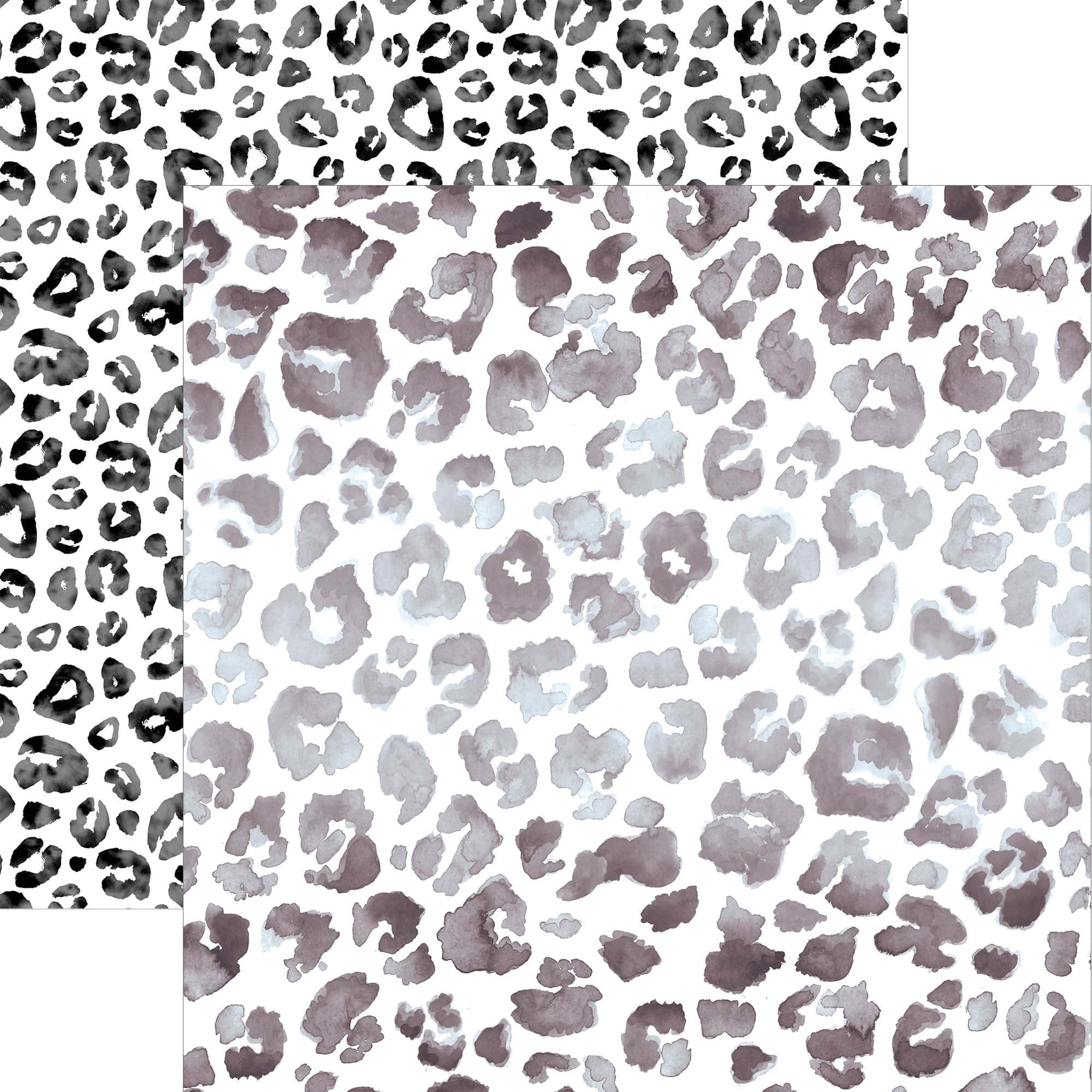 Leopard Colorways Paper Assortment、mySite、ghnorth