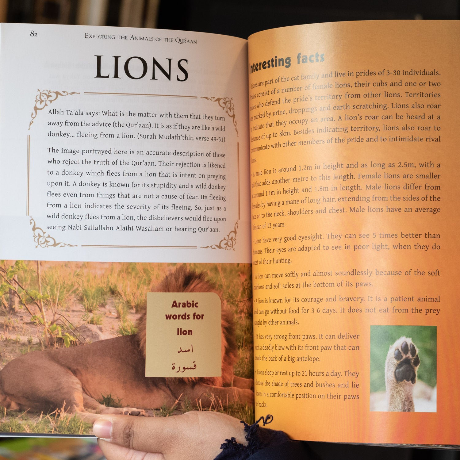 Exploring the Animals of the Quran、mySite、topwebapps