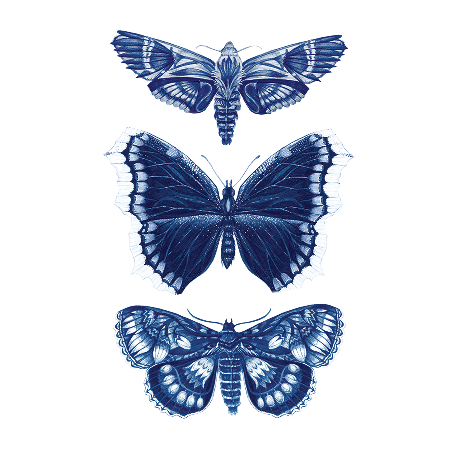  Sapphire Moths Tattly Temporary Tattoos、mySite、ghnorth