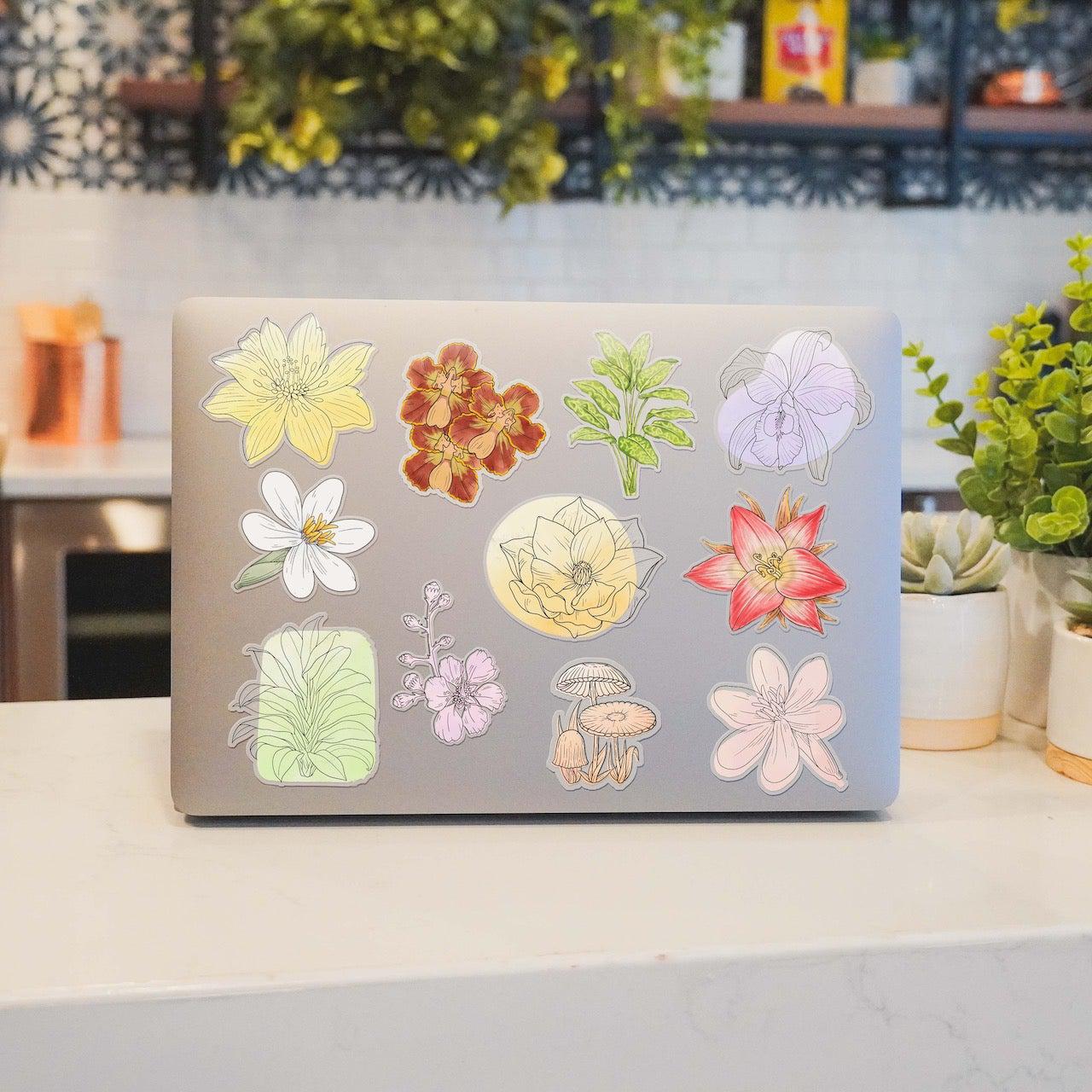  Botanical Clear Stickers 30 Pack、mySite、ghnorth