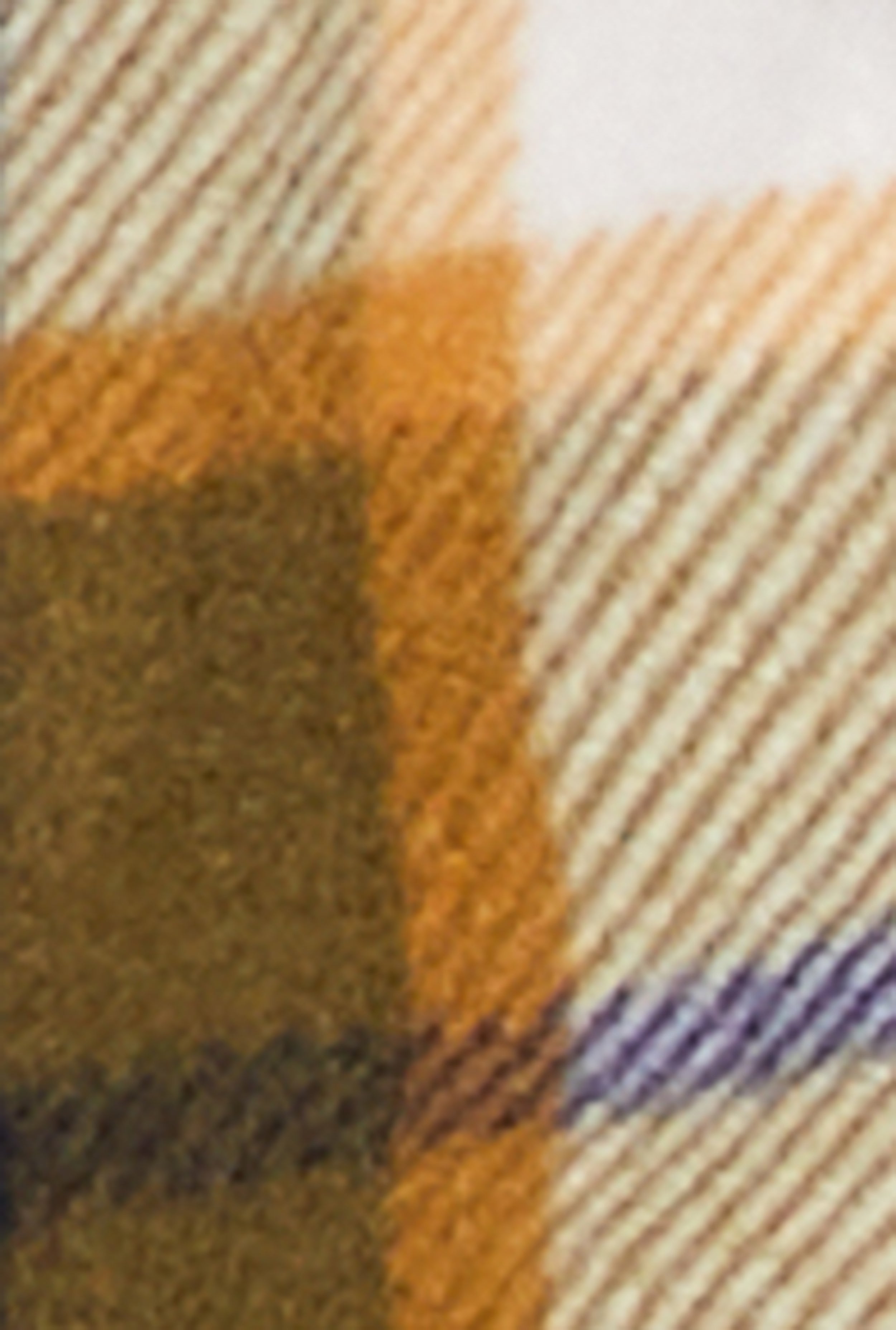 Plus Size Plaid Snap Button Zip Front Shacket、mySite、camillekostekn