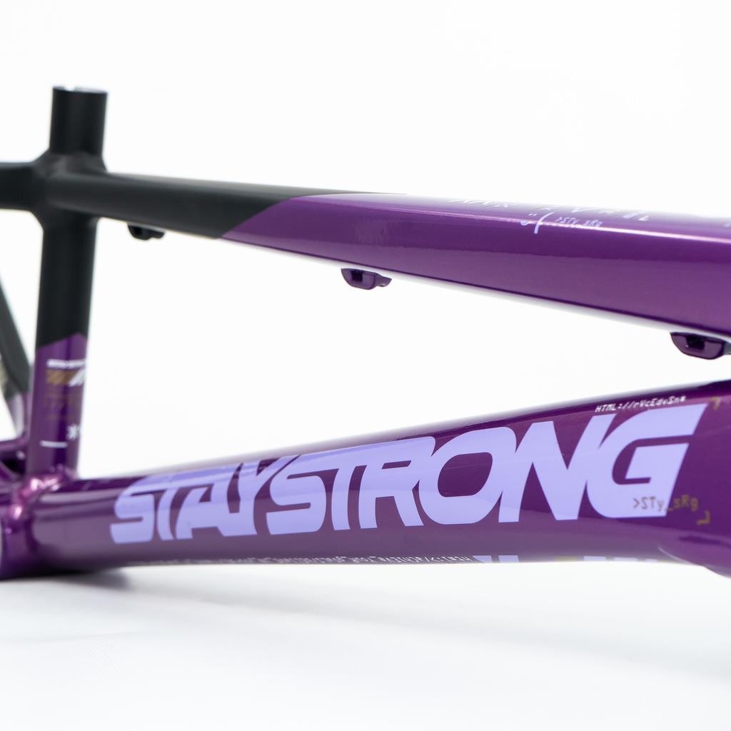  Stay Strong For Life V5 Expert Frame 2025、mySite、merchandisen
