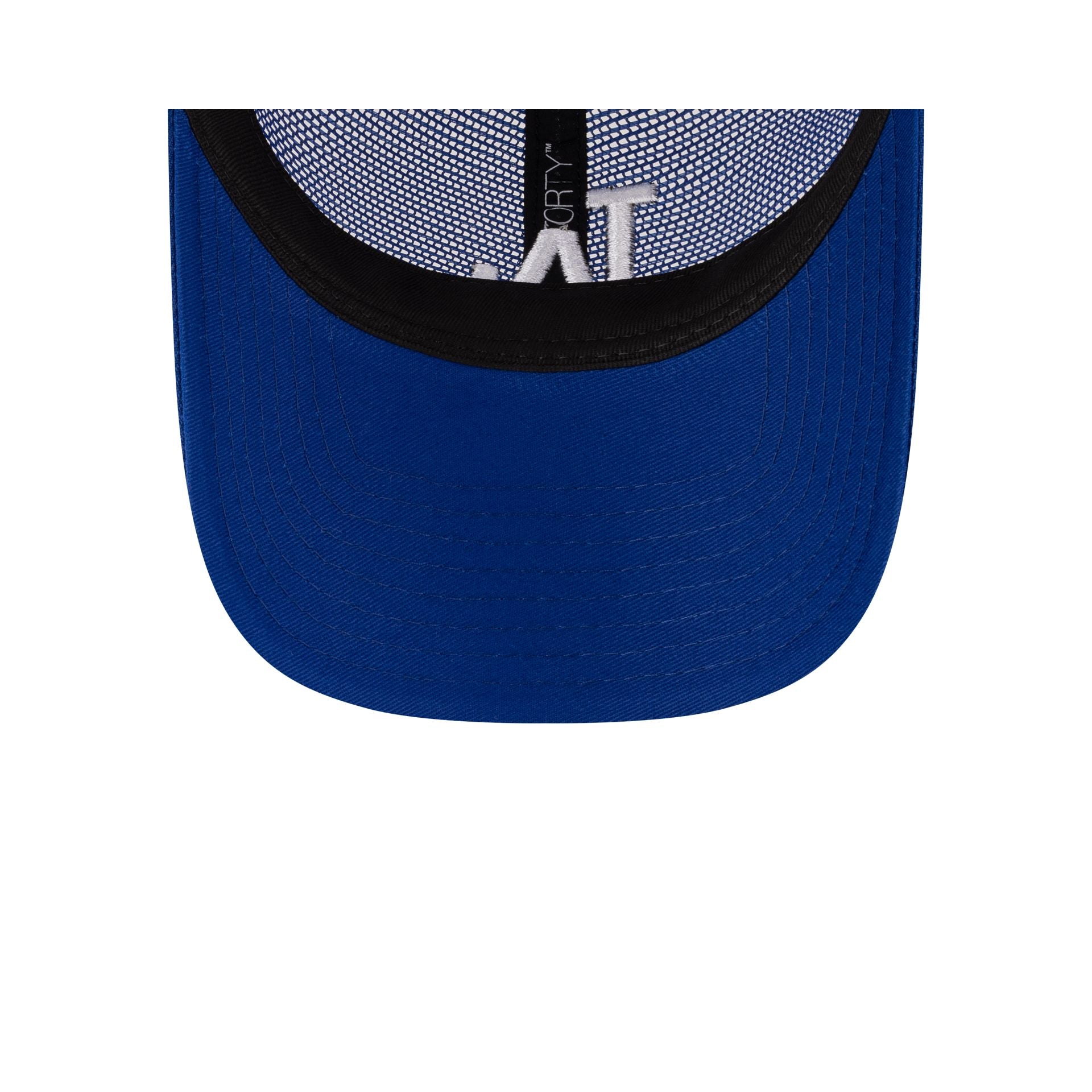 Los Angeles Dodgers Royal Blue Mesh 9FORTY Snapback Hat、mySite、vikingsvslions