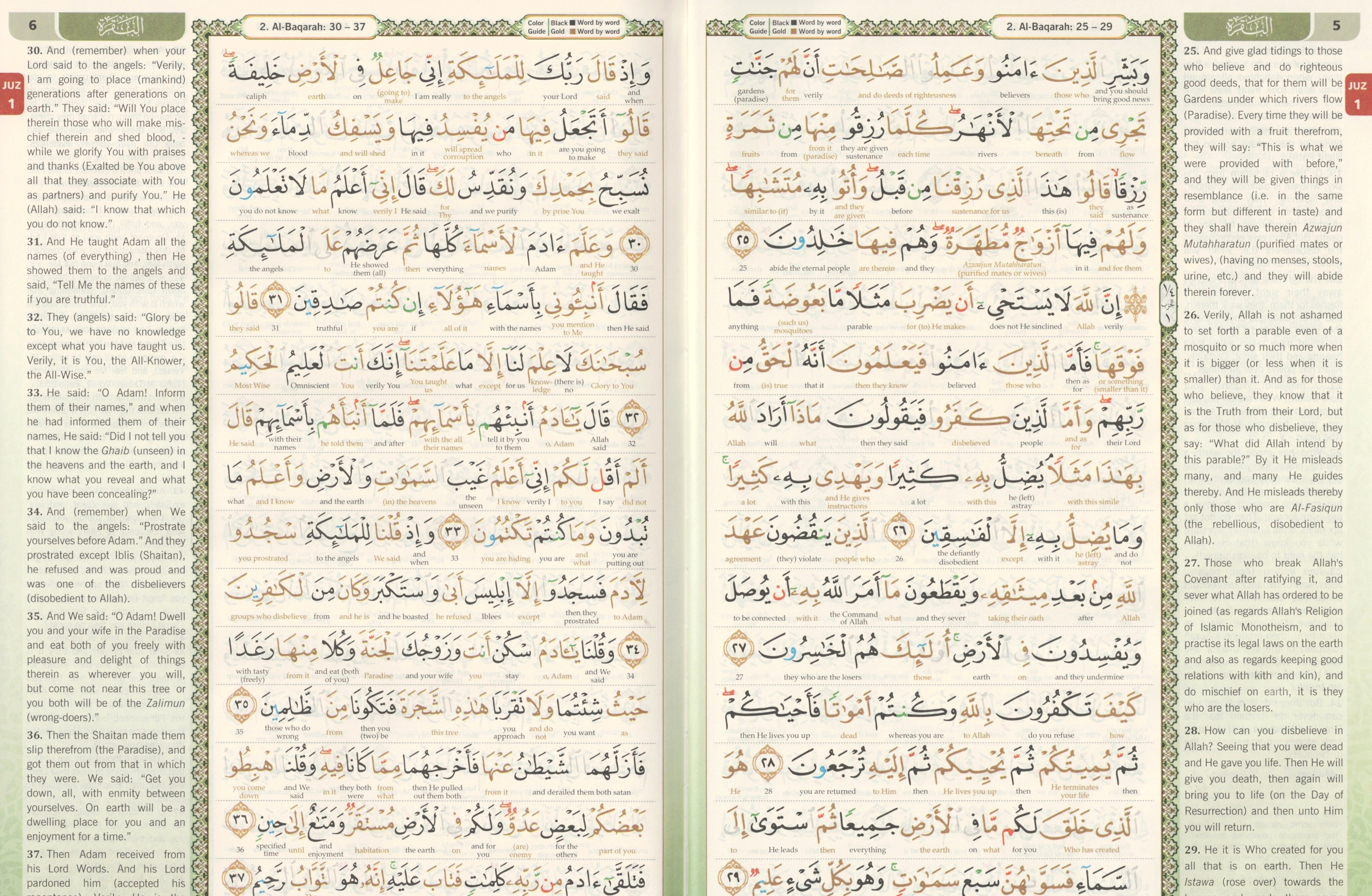 Maqdis Quran | The Noble Quran Word By Word Translation and Color Coded Tajweed (Maqdis Al Quran Al Karim) Medium Size B5 (English-Arabic)、mySite、topwebapps