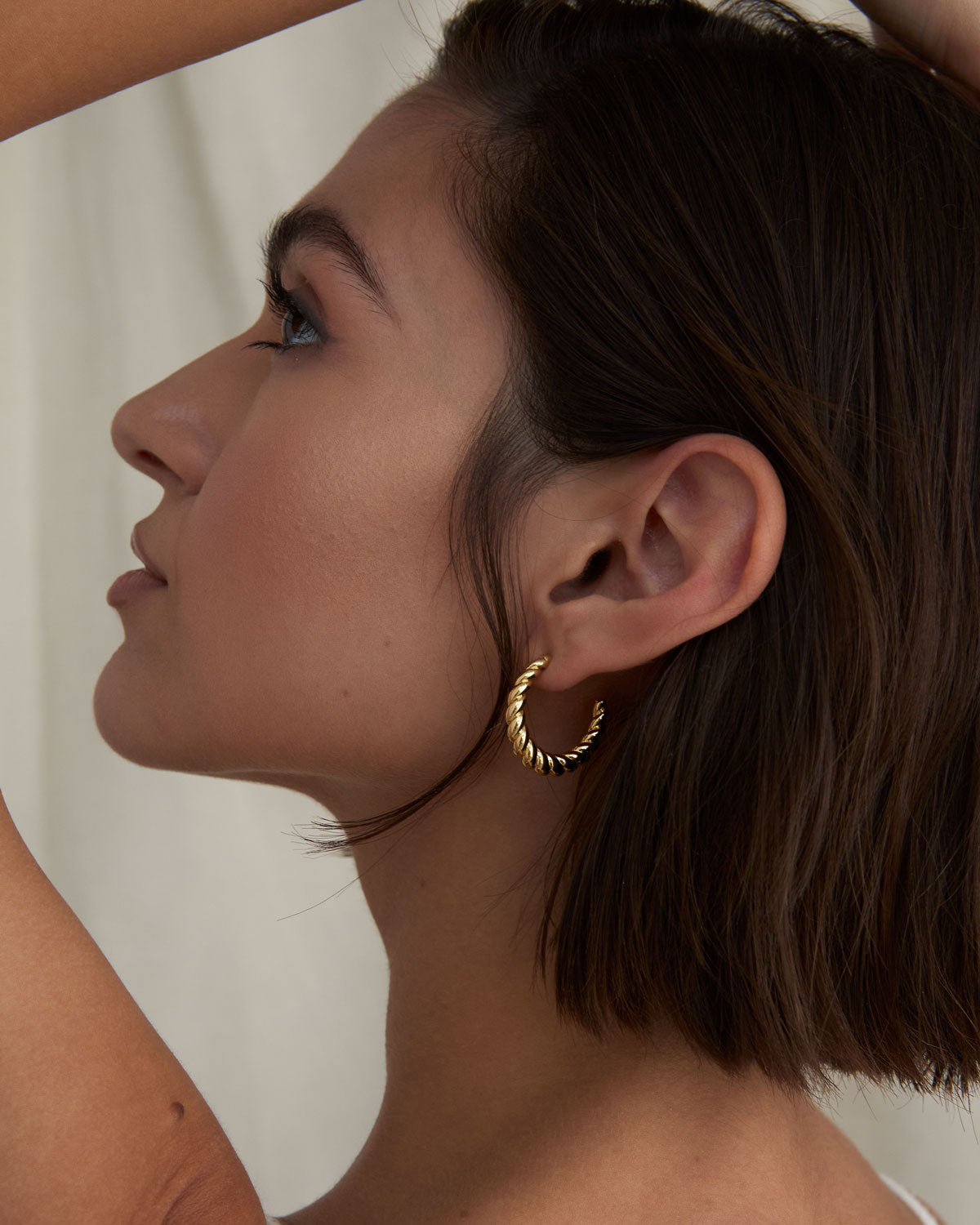 Entwined Twisted Hoop Earrings、mySite、hinf8tx79