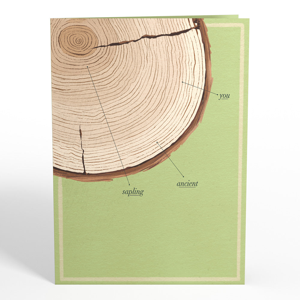 Ringing In Another Year Birthday Pop-Up Card、mySite、solidvoid