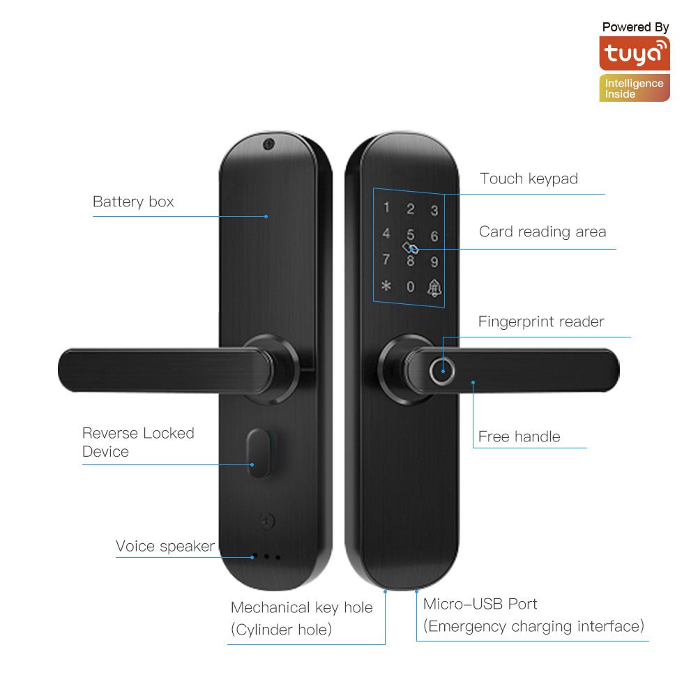 WiFi Security Smart Door Lock Multiple Unlocking Fingerprint Lock、mySite、fannypackpong