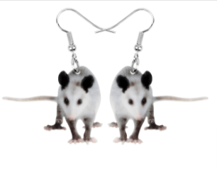 Opossum Acrylic Earrings and keychains-Realistic Cute Opossums!、mySite、g9winljtr