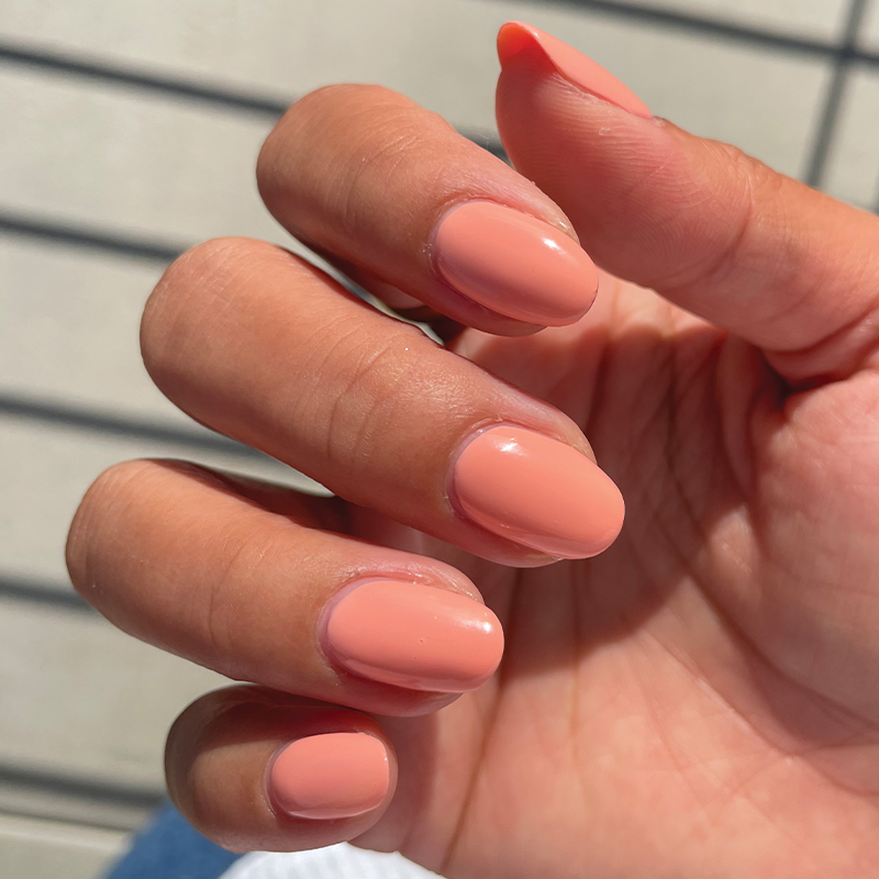 Wild & Free、mySite、solidvoid