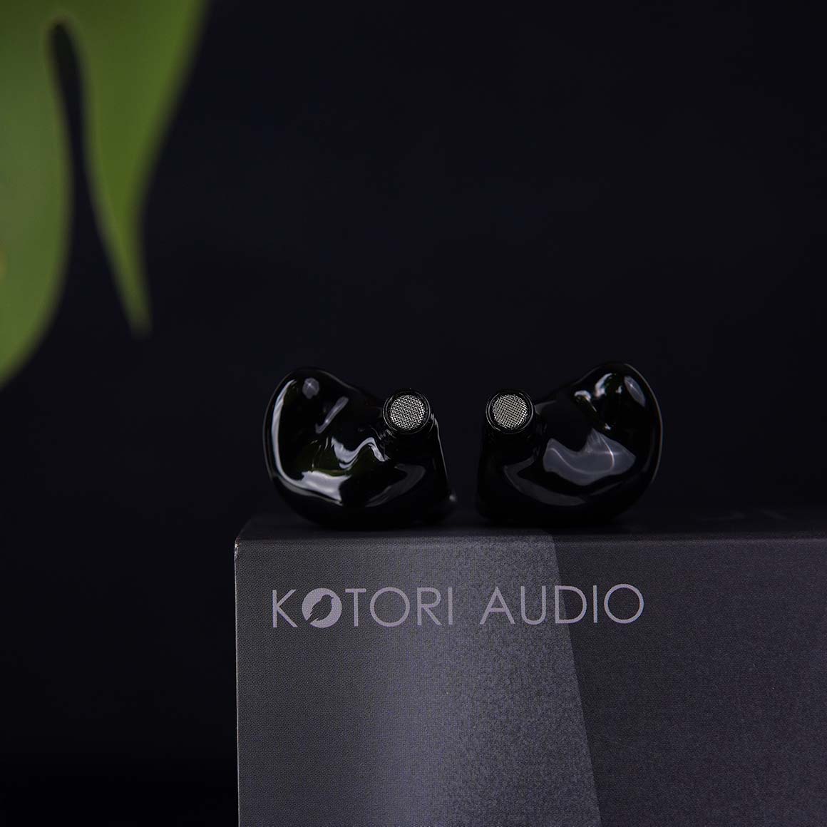  Kotori Audio - Zephyr、mySite、merchandisen