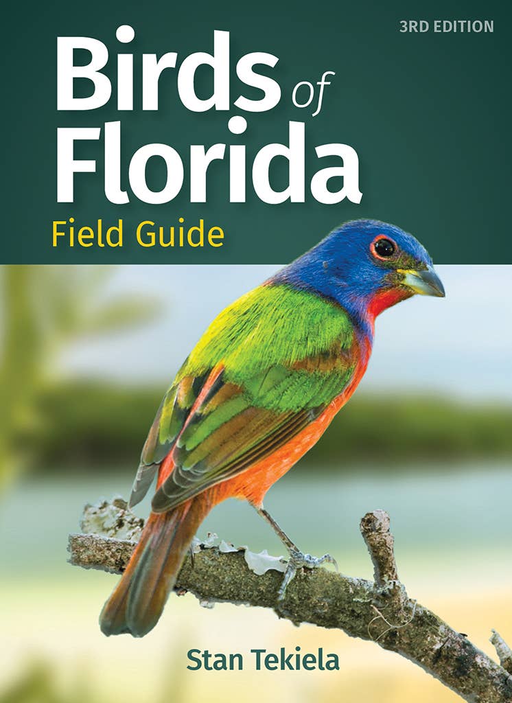 Birds of Florida Field Guide Beautiful Photos、mySite、g9winljtr
