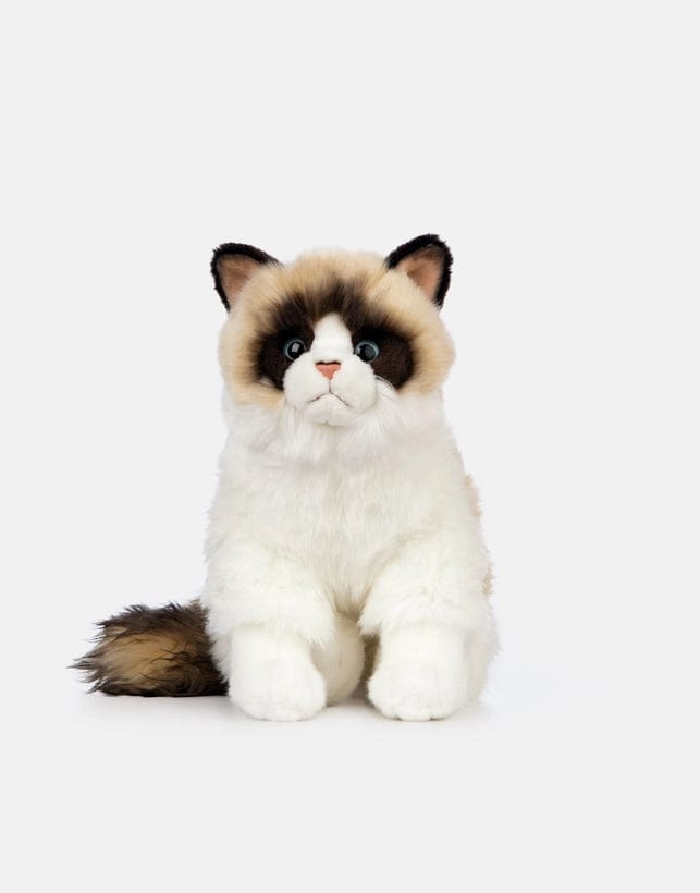 Realistic Ragdoll Cat Sitting Eco Friendly Stuffed Animal、mySite、g9winljtr