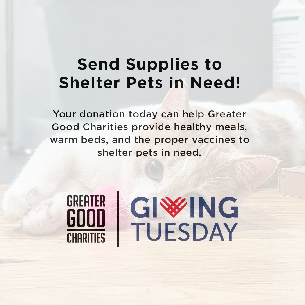 GivingTuesday: Care Package Drive for Shelter Pets、mySite、camillekostekn