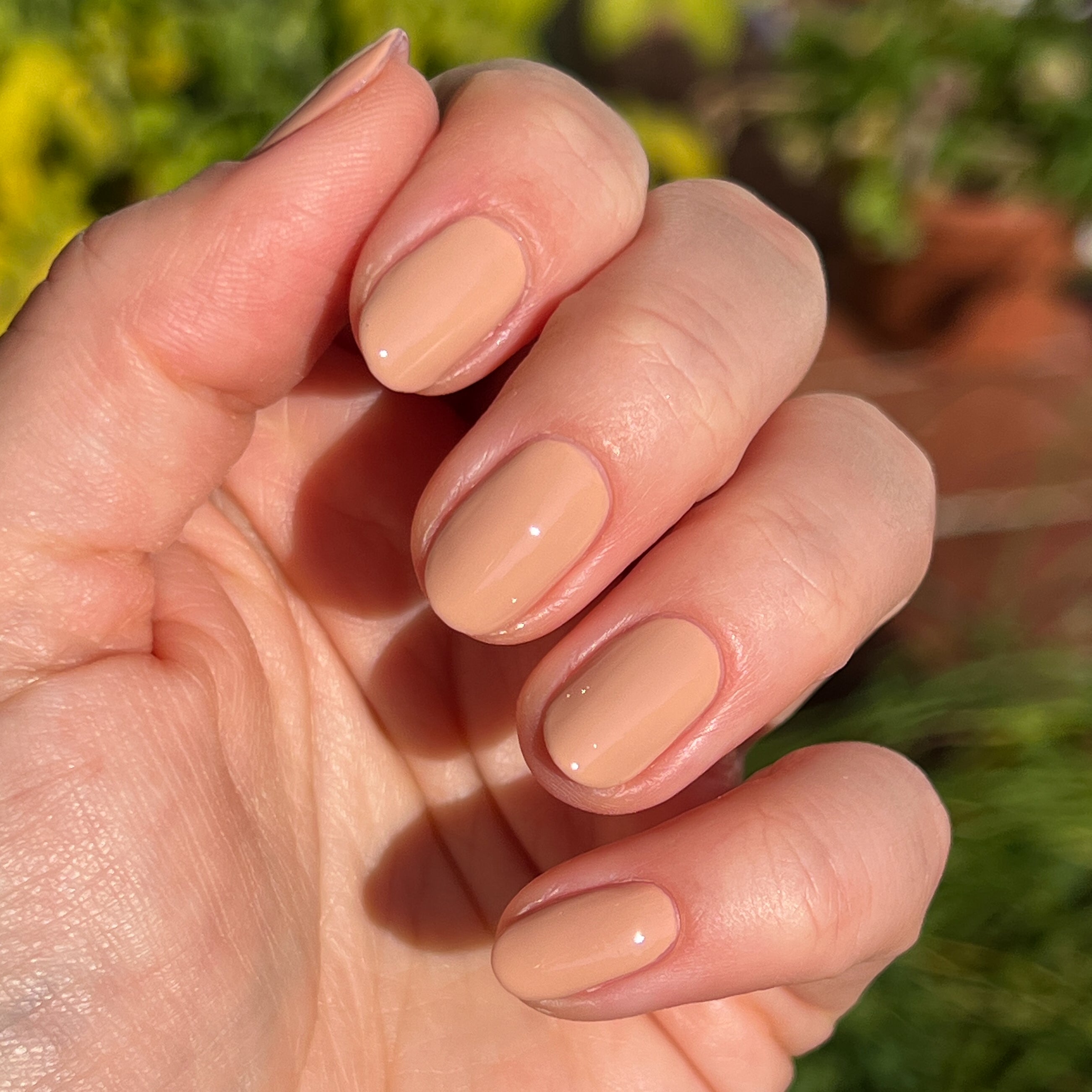 Howdy、mySite、solidvoid