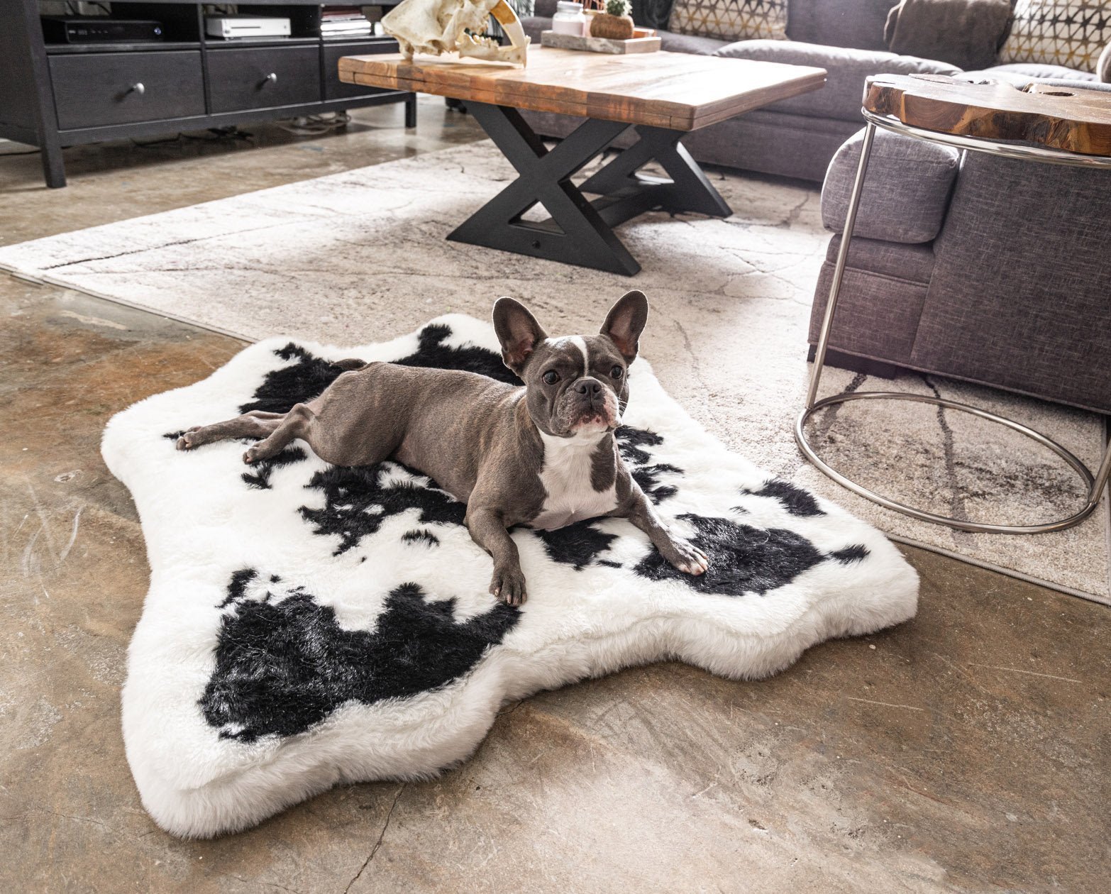 PupRug™ Junior Memory Foam Bed + Matching Waterproof Blanket Bundle - Black Faux Cowhide、mySite、solidvoid