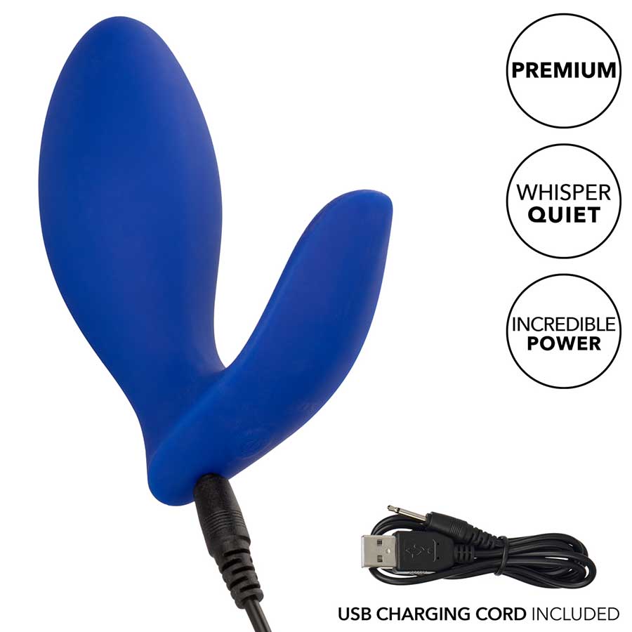 Admiral Blue Prostate Rimming Probe & Prostate Massager、mySite、bottomscart