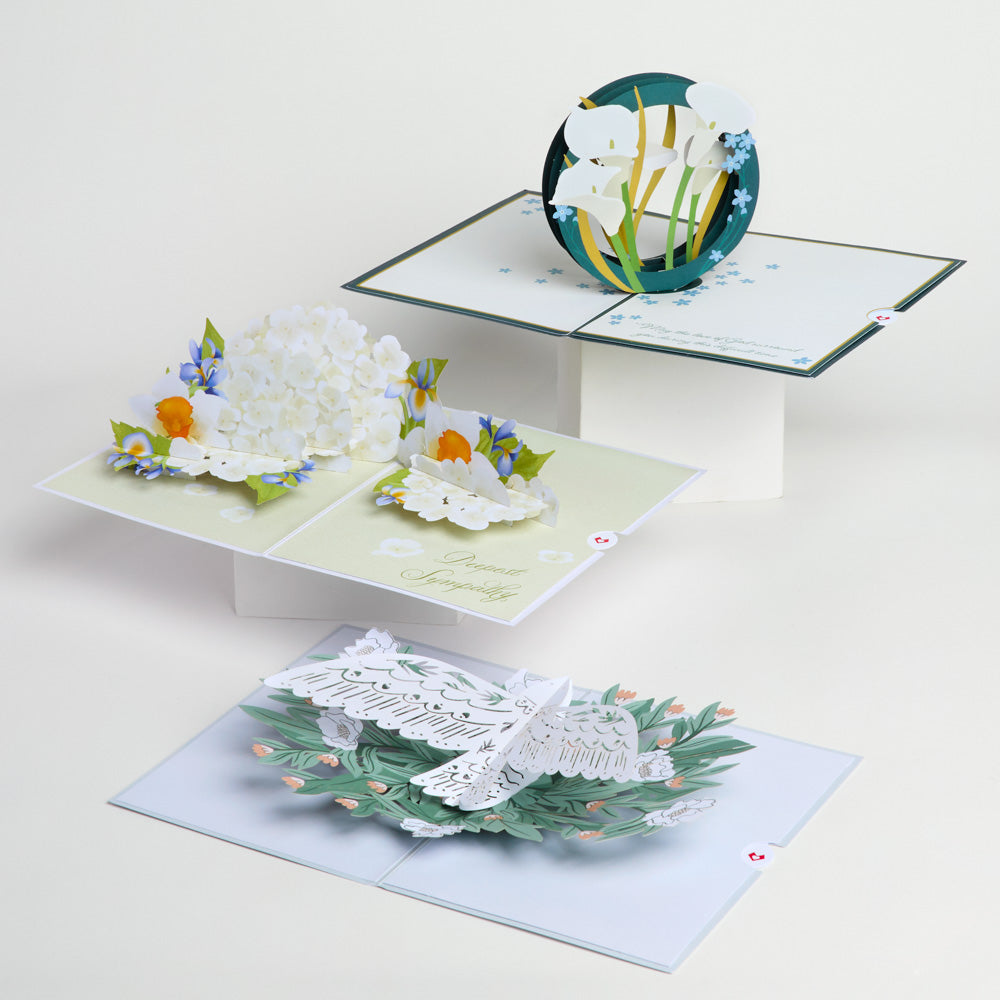 Sympathy 3-Pack、mySite、solidvoid