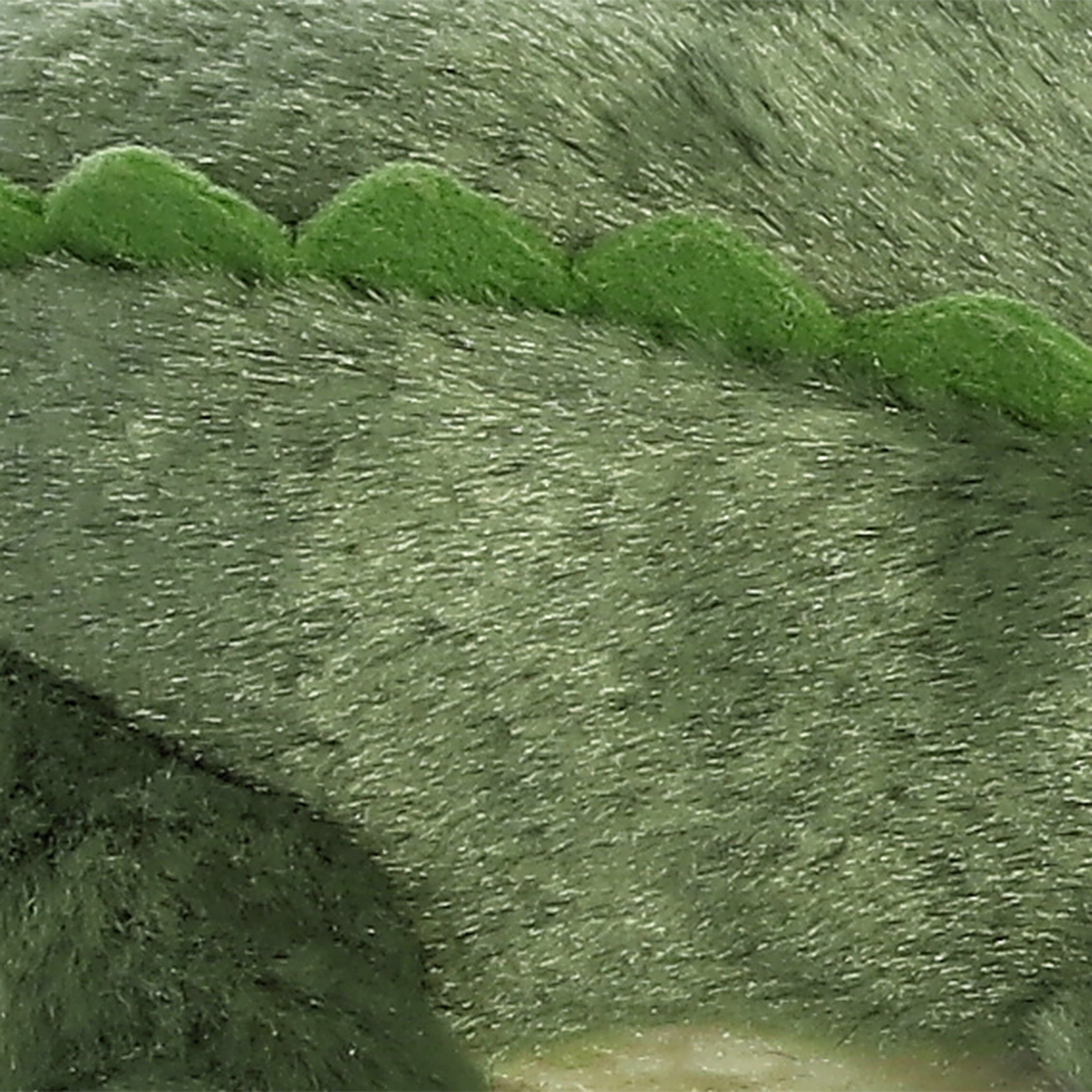 Aurora® - Mini Flopsie™ - 8 Swampy™、mySite、g9winljtr