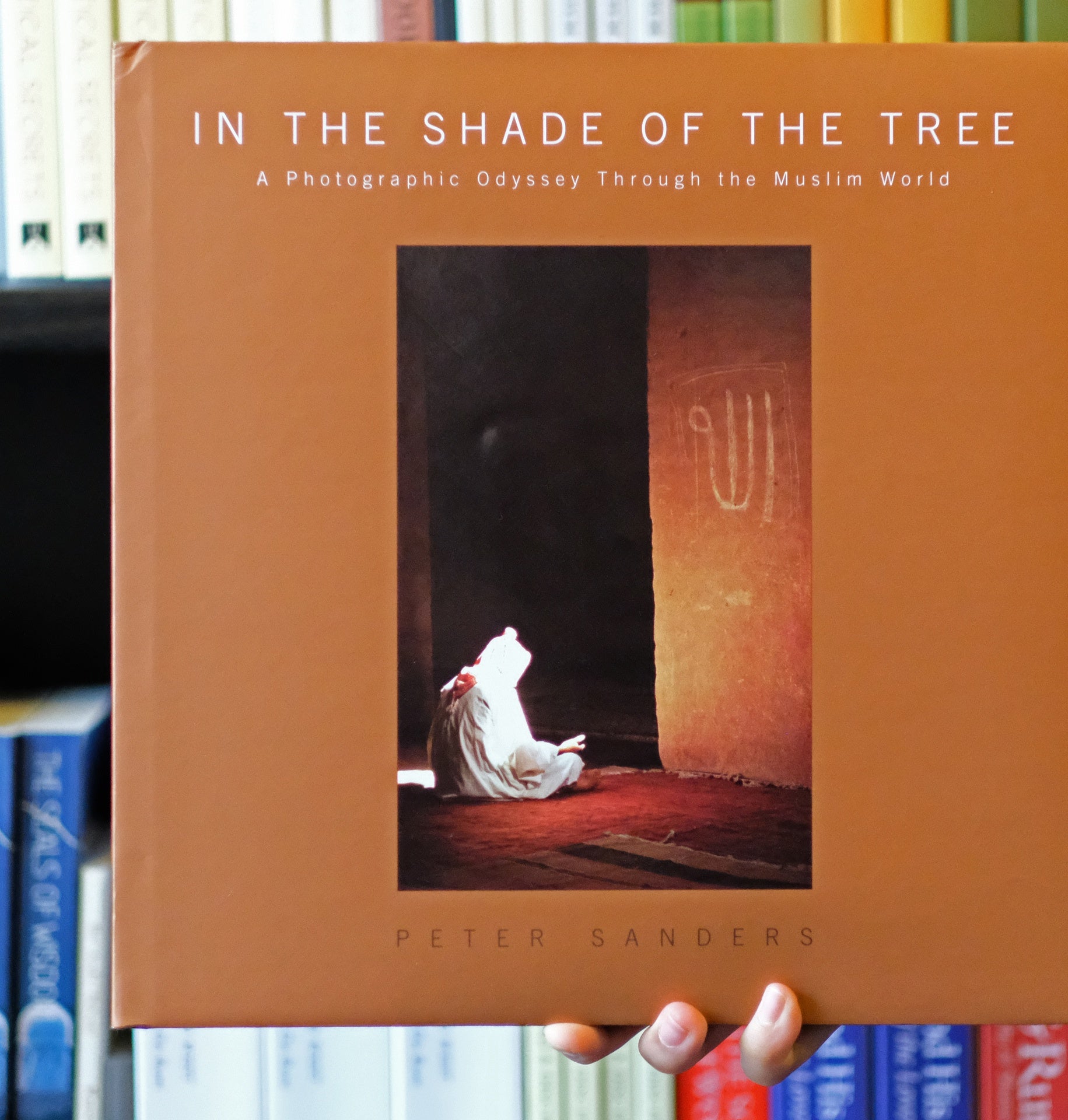 In the Shade of the Tree、mySite、topwebapps