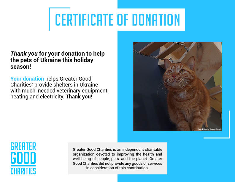 Funded: Help Garfield Recover from Life-Altering Surgery、mySite、camillekostekn
