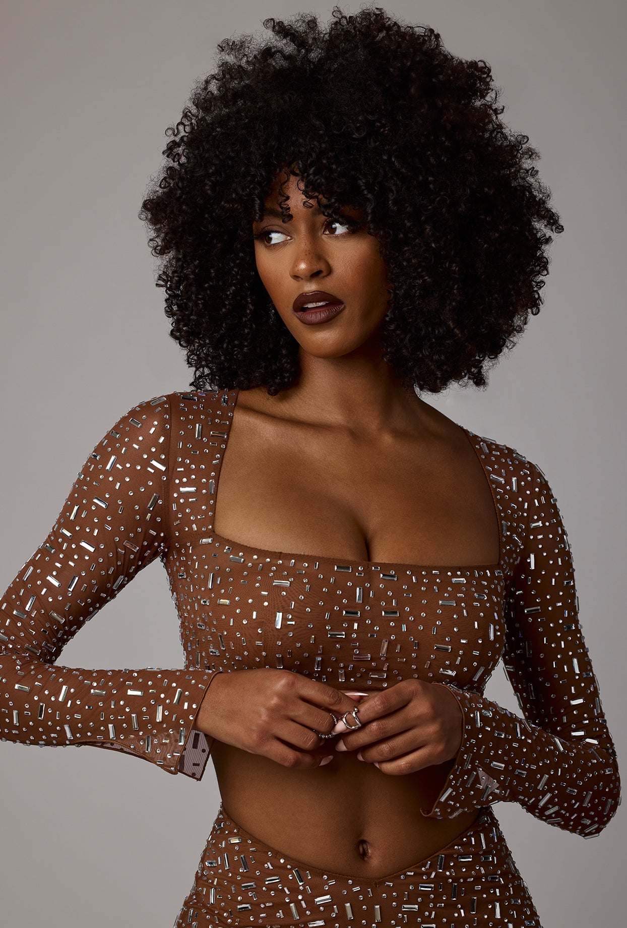 Sheer Embellished Long Sleeve Crop Top in Mocha、mySite、solidvoid