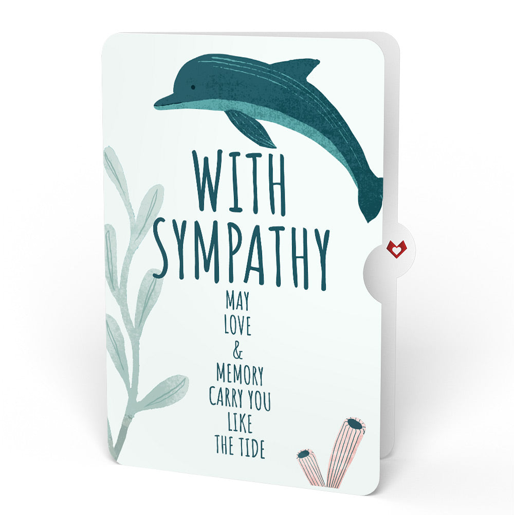 Playful Dolphins Sympathy Pop-Up Card and Sentiment Set、mySite、solidvoid