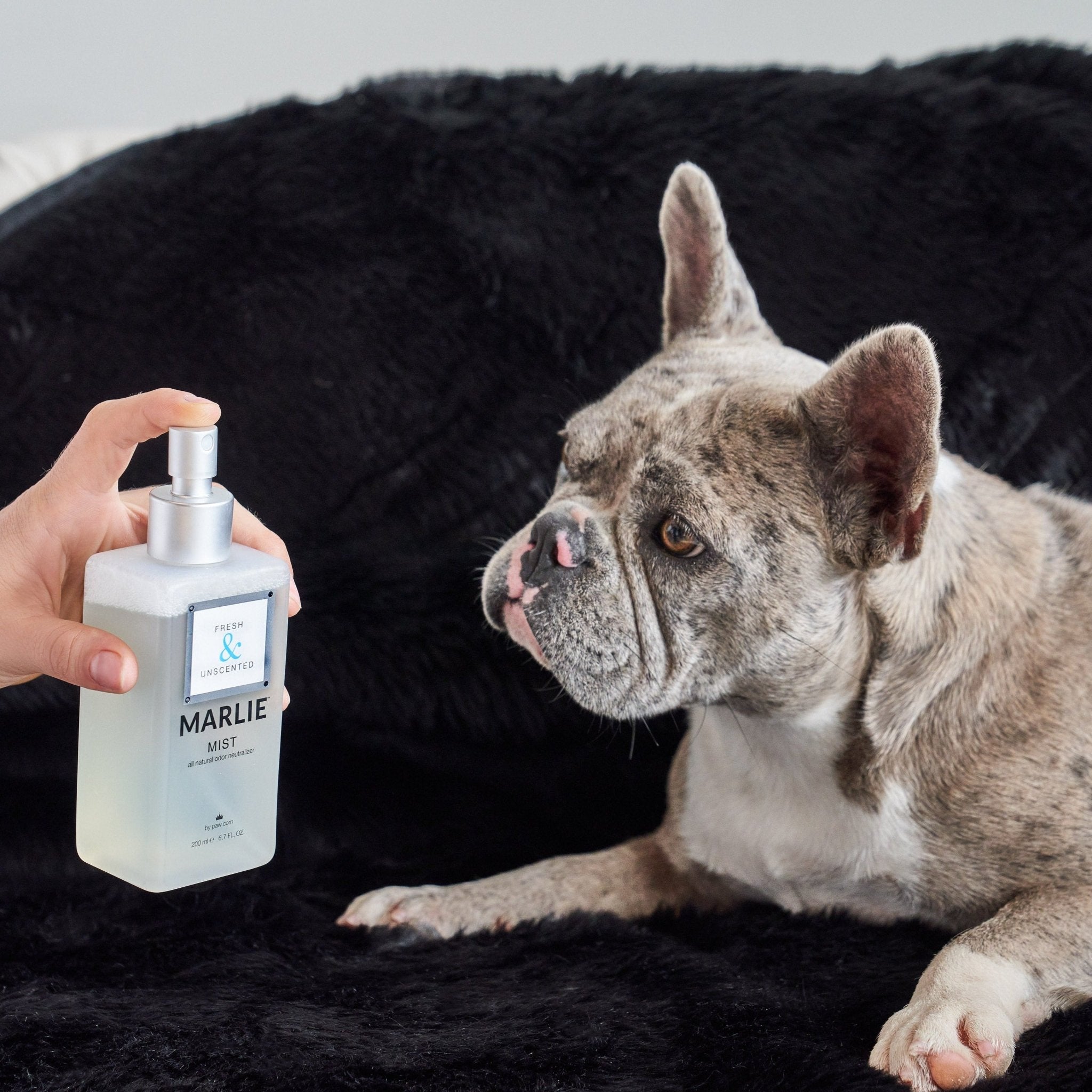 Marlie Mist Pet Odor Eliminator Spray with Essential Oils、mySite、solidvoid