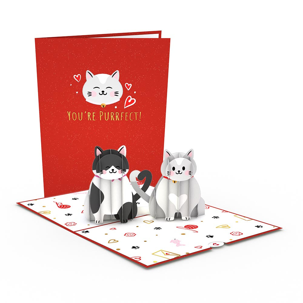 Dynamic Duos Love 3-Pack、mySite、solidvoid